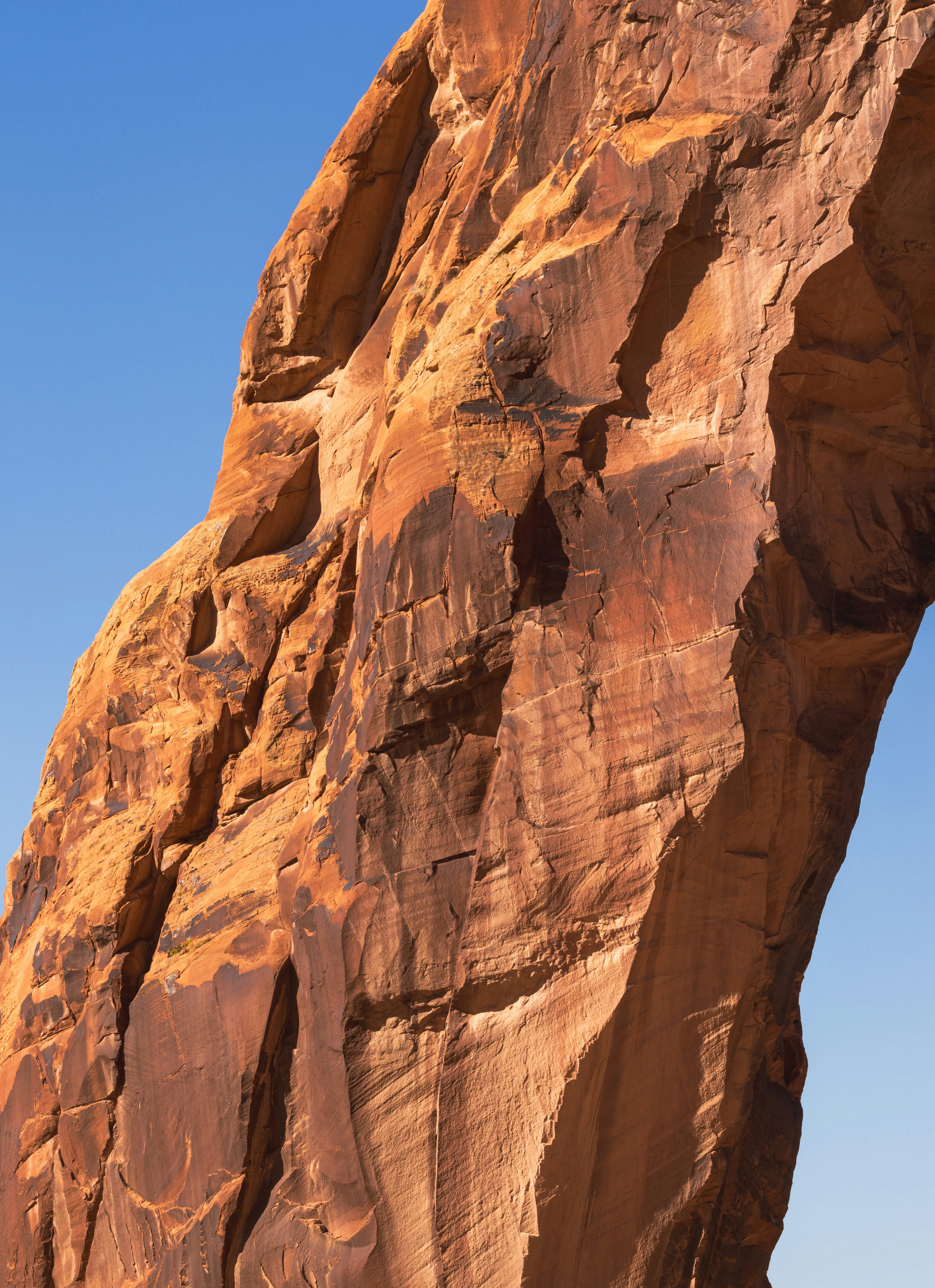 Photo by brandonstoll