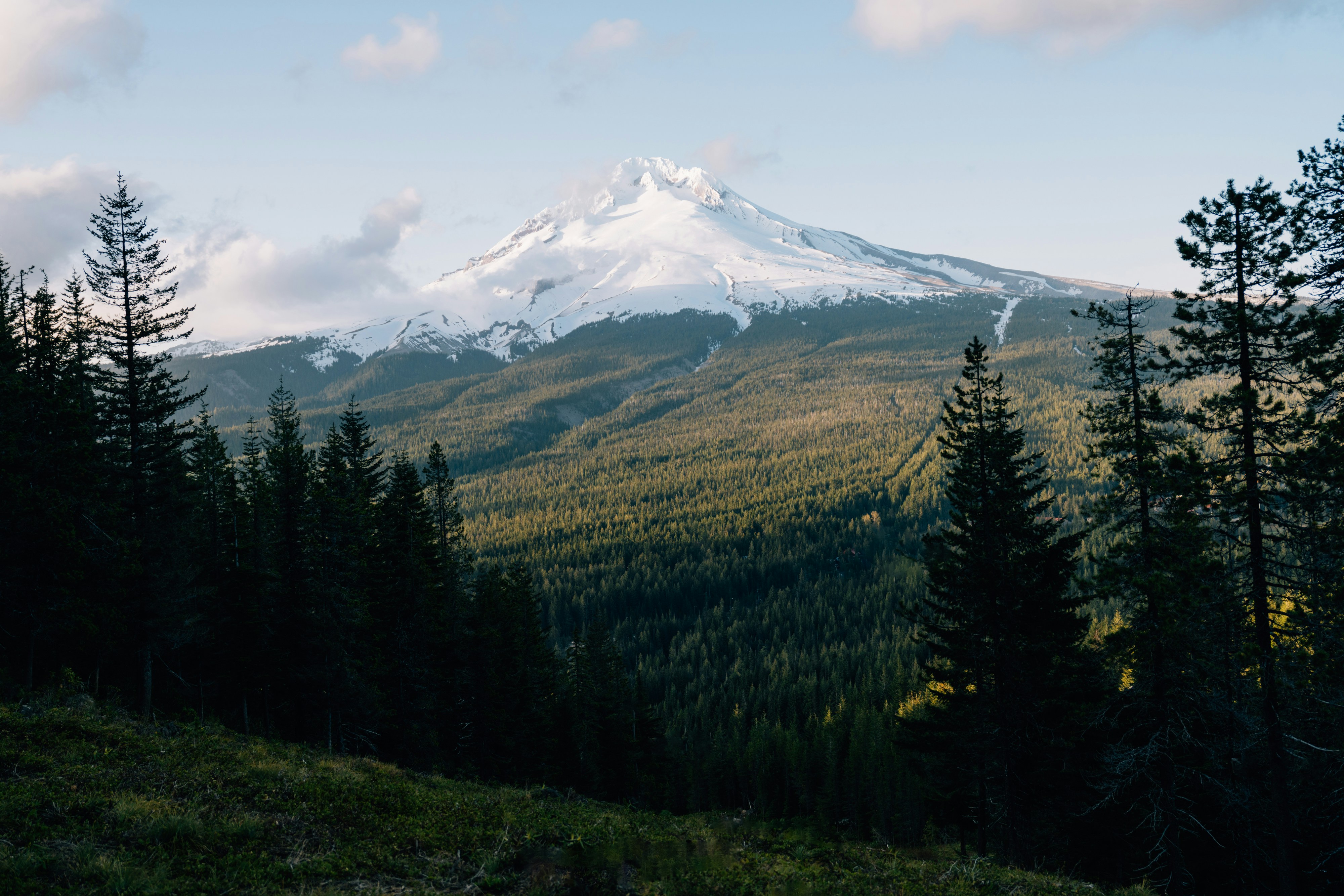 Photo by lifeof_peter_