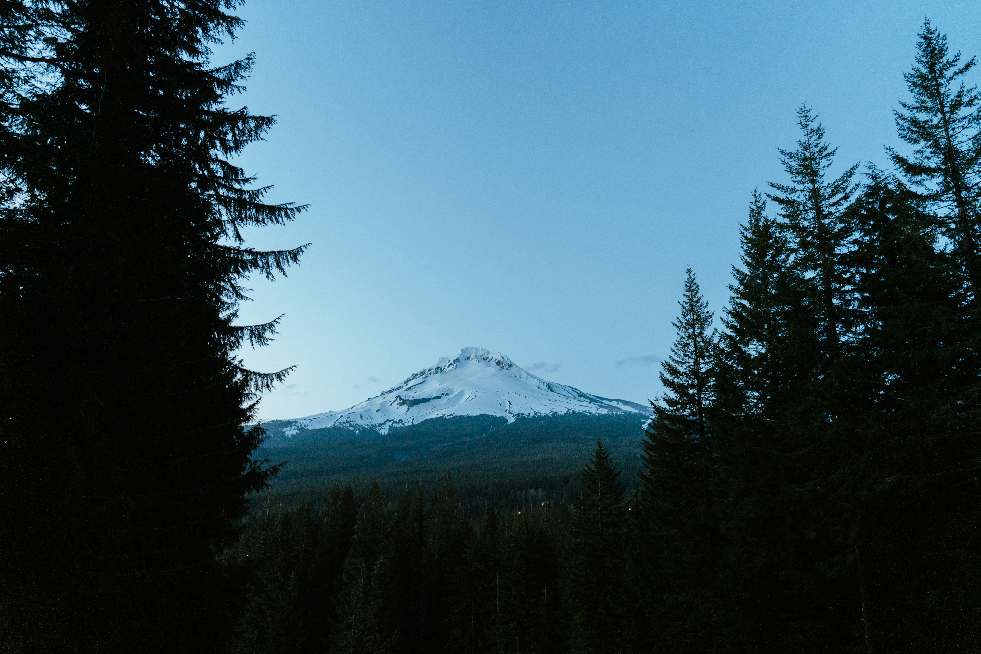 Photo by lifeof_peter_