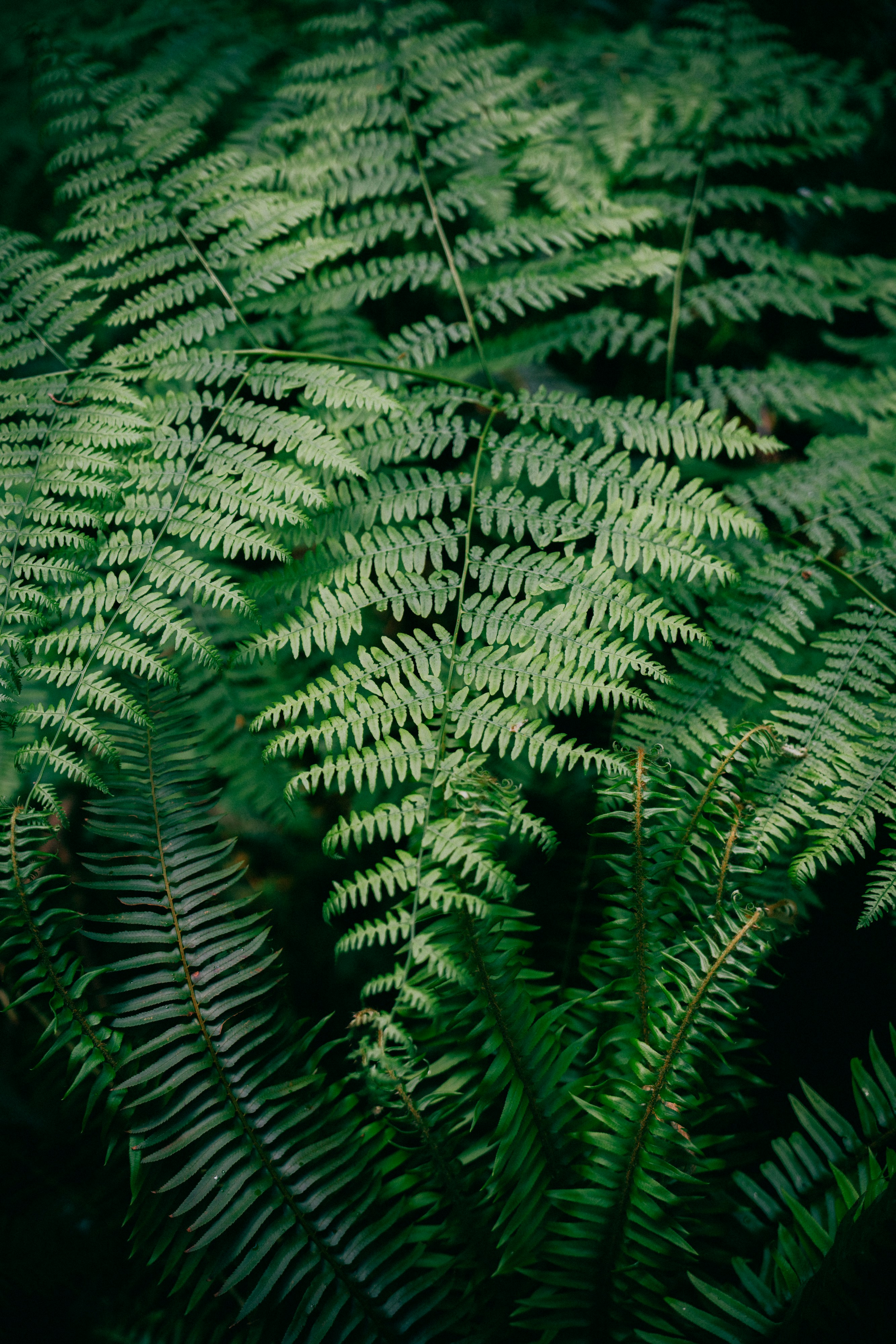 Photo by lifeof_peter_