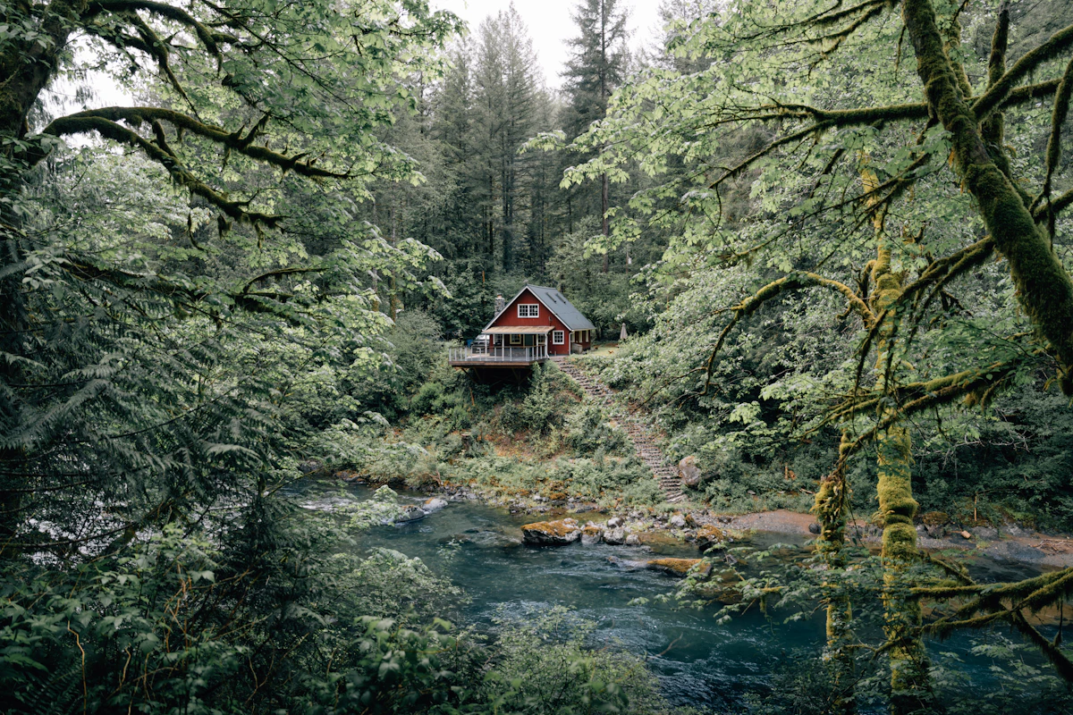 Pacific Northwest living room