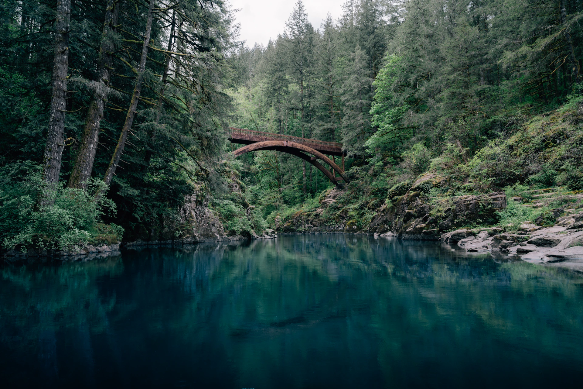 a bridge over a river in the middle of a forest