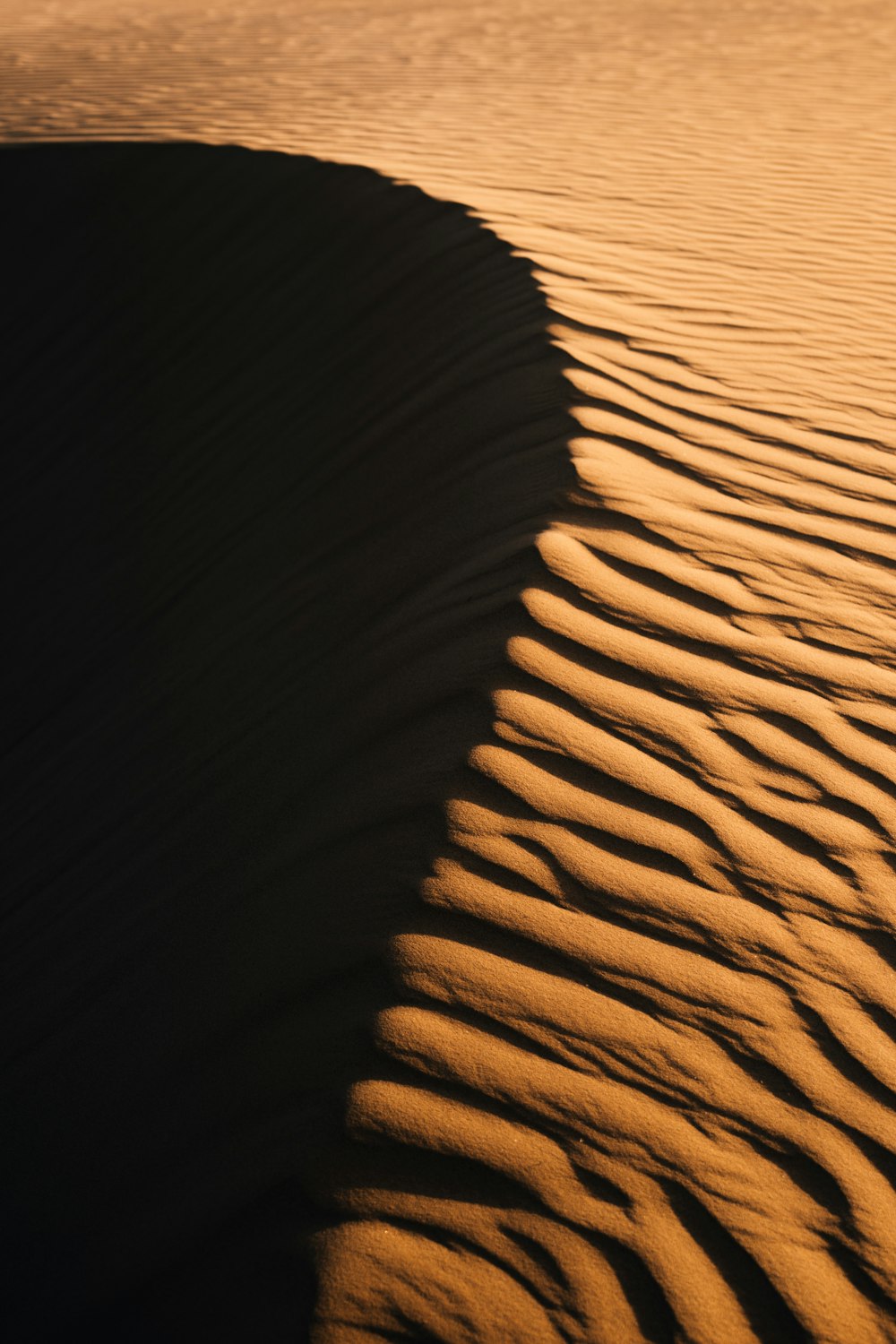 the shadow of a person standing on a sand dune
