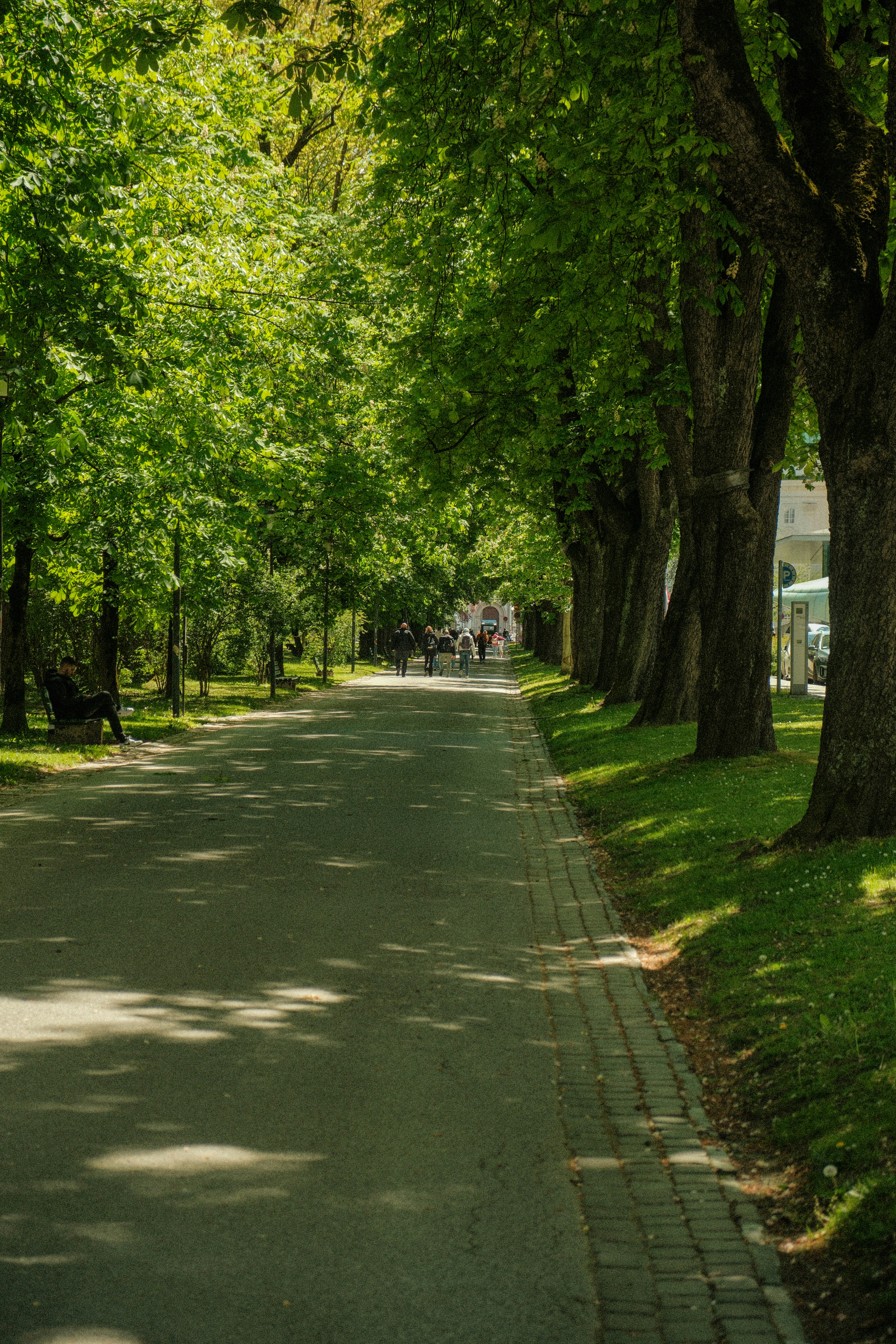 Photo by alexispresa