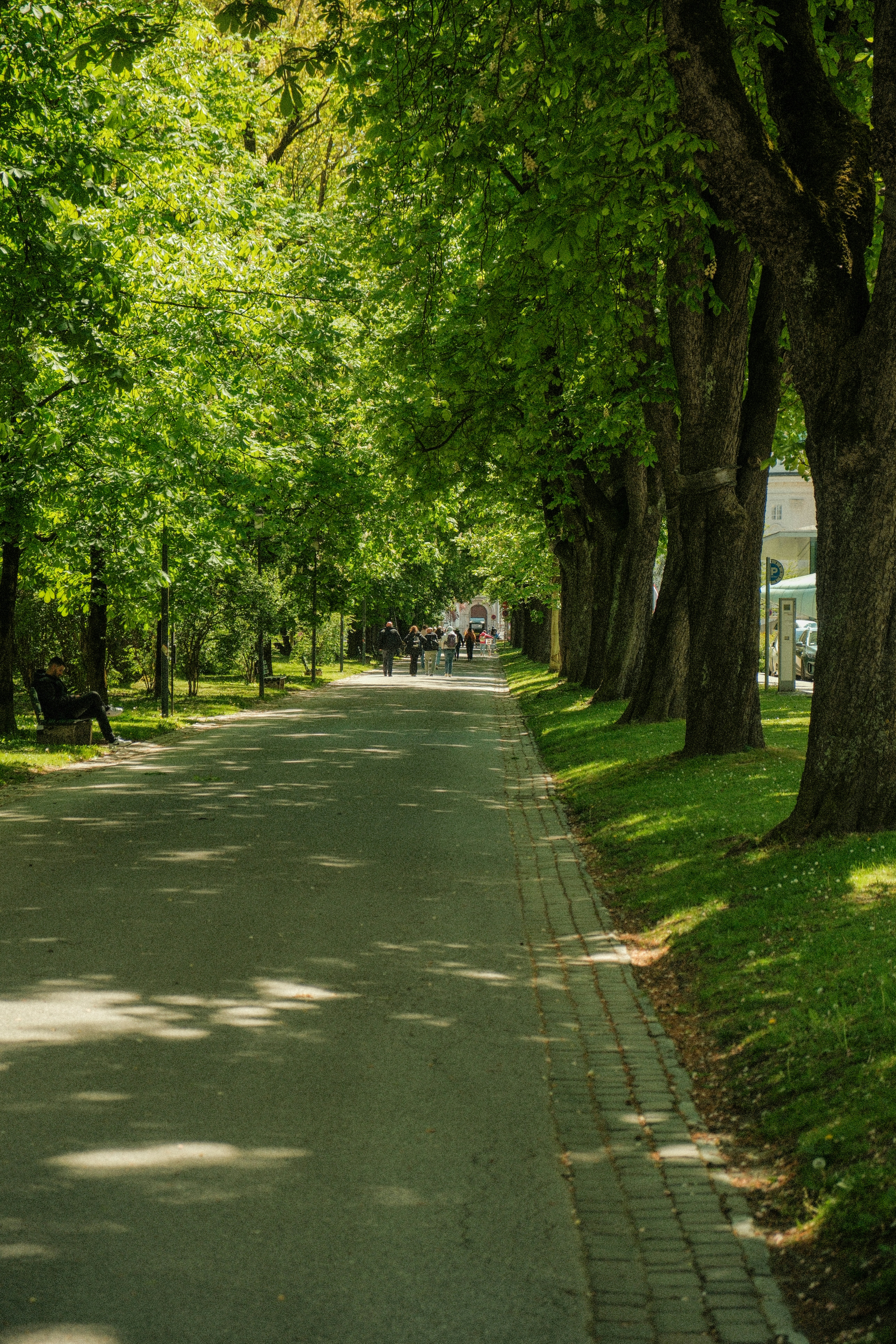 Photo by alexispresa