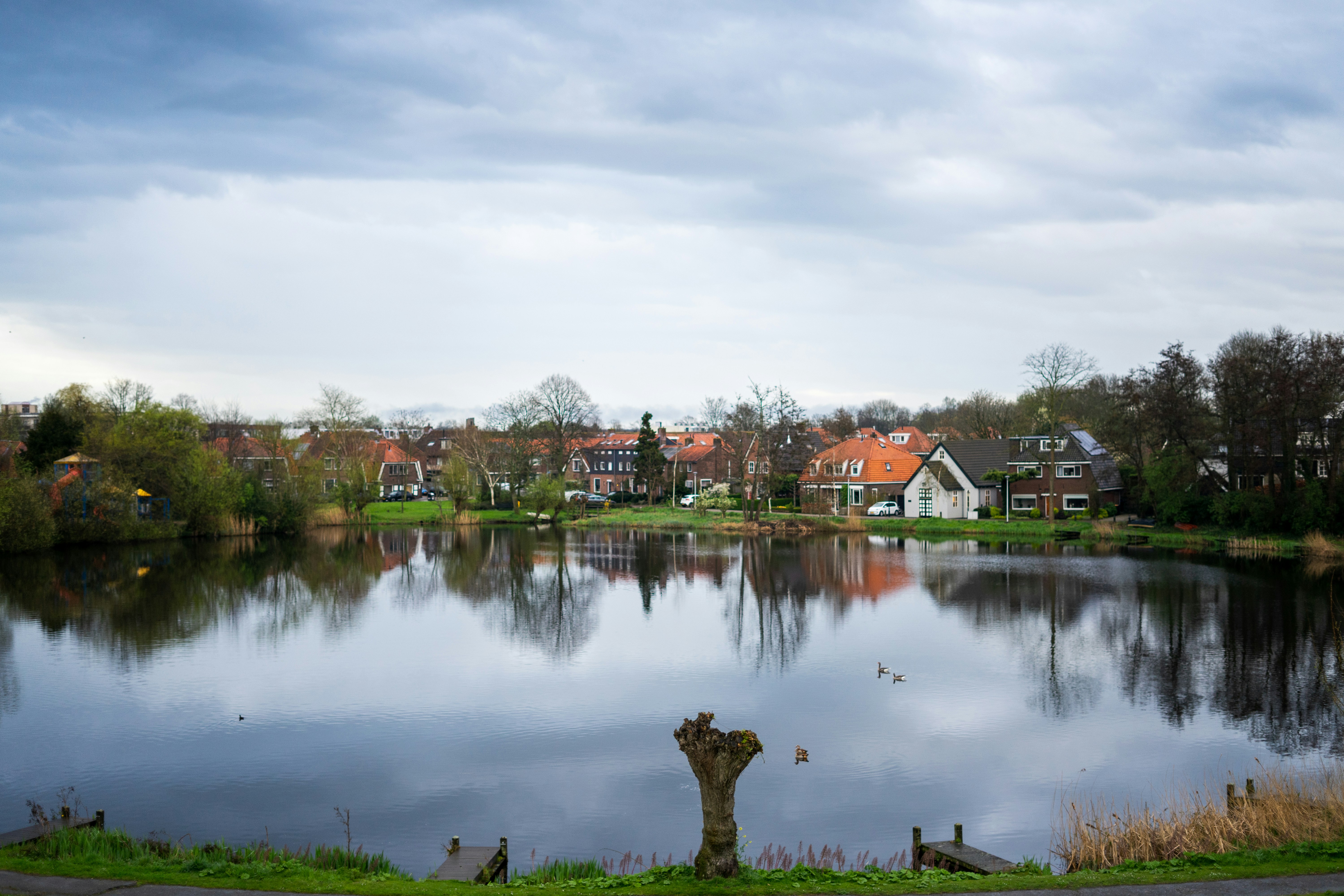 Photo by saeedkolivand