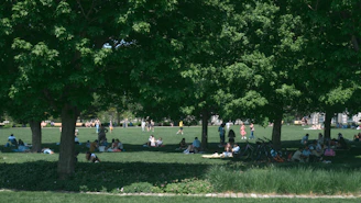 a group of people sitting on top of a lush green field