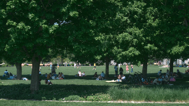 a group of people sitting on top of a lush green field