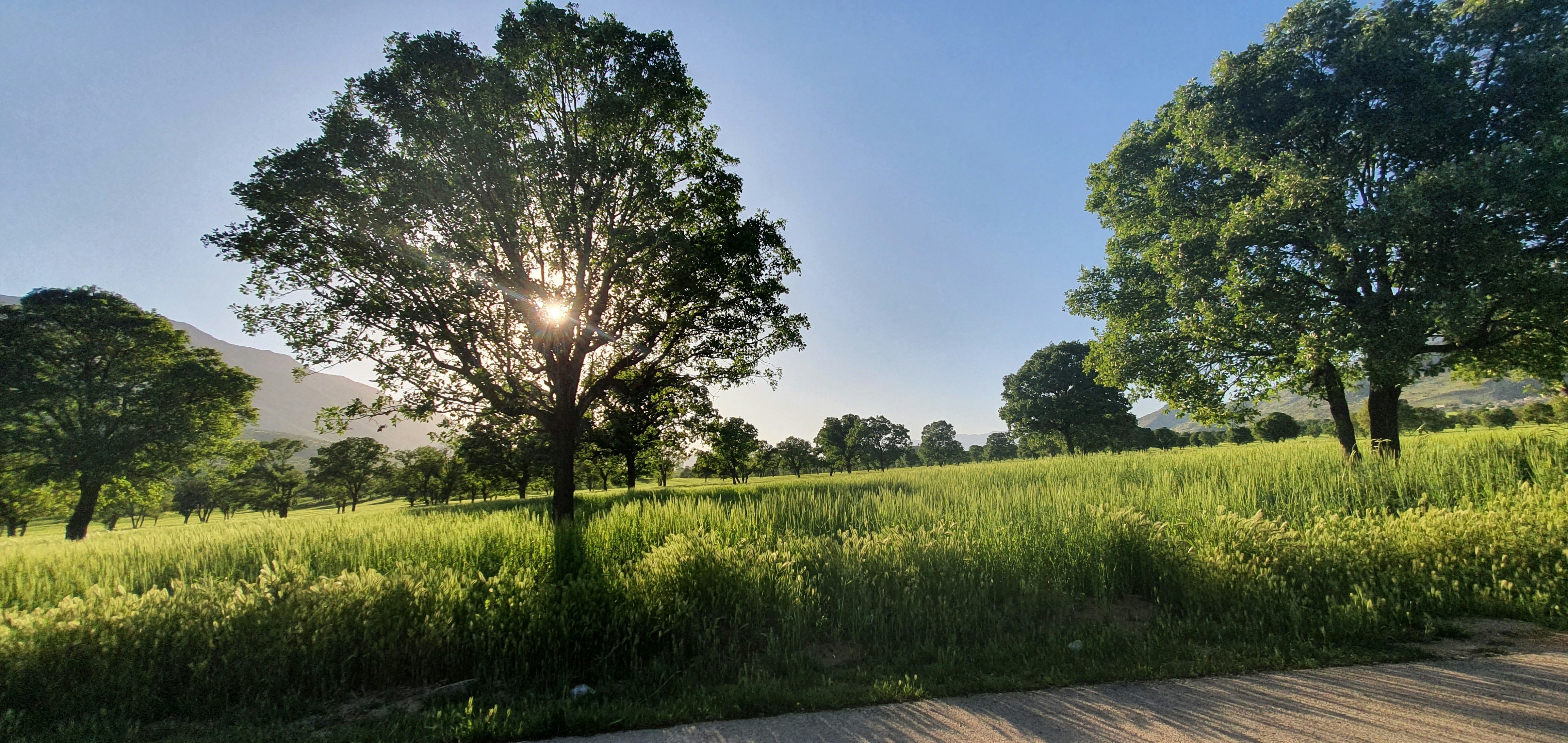 Photo by mokhtari13722