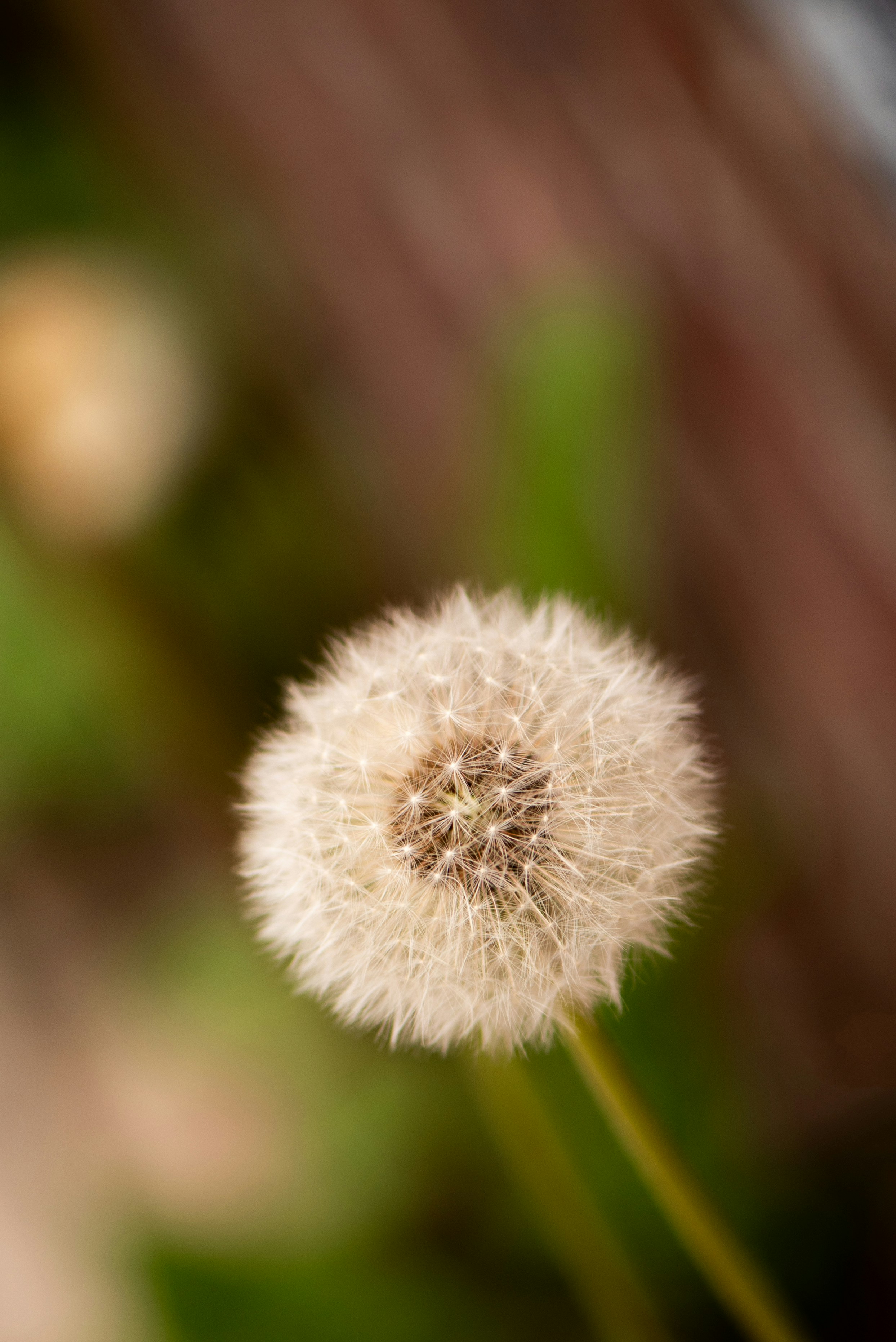 Photo by byrichardsosa