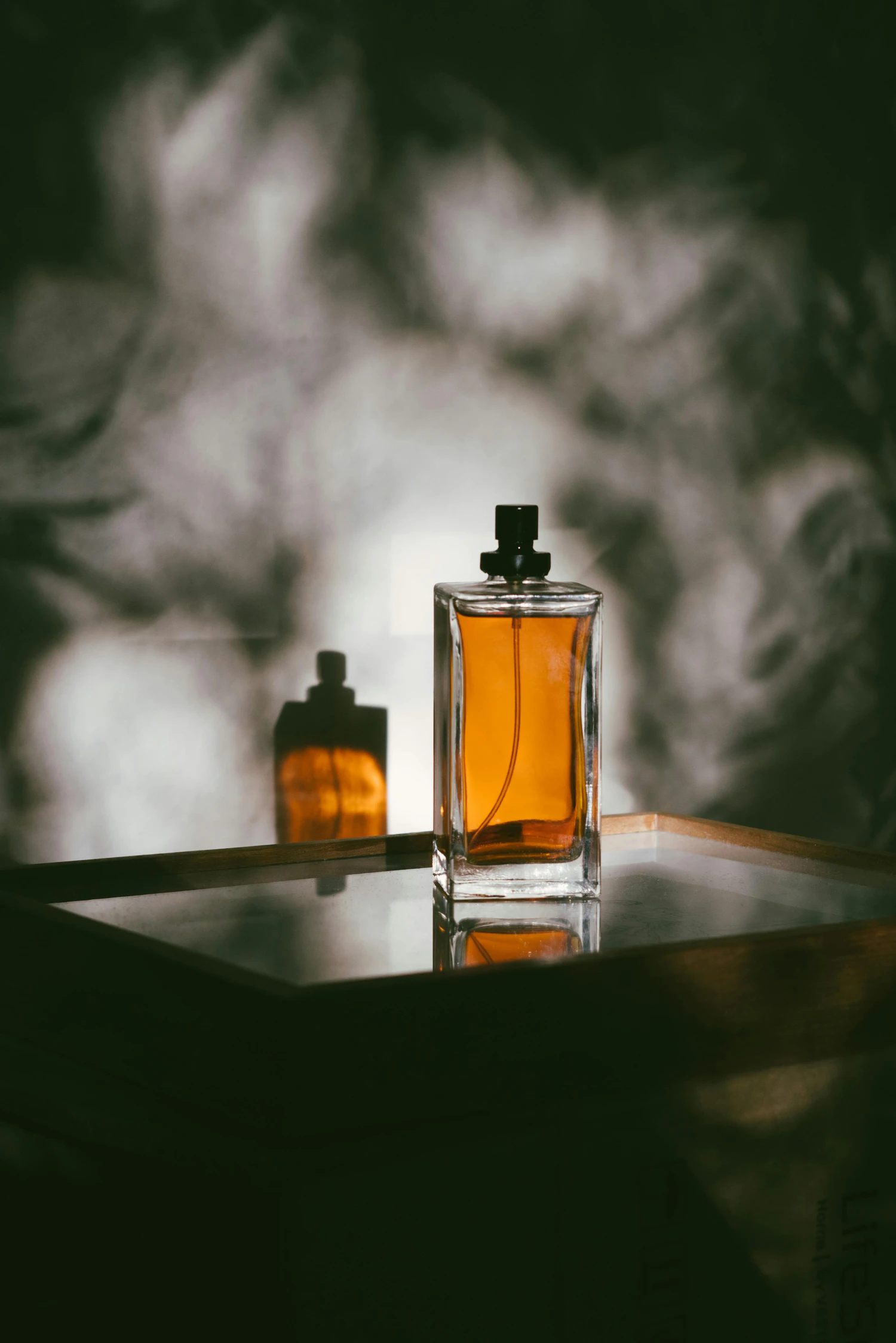 Incenso Basso’s square flacon of amber perfume on a glass tray, a shadow of leaves moving on the dark wall behind it