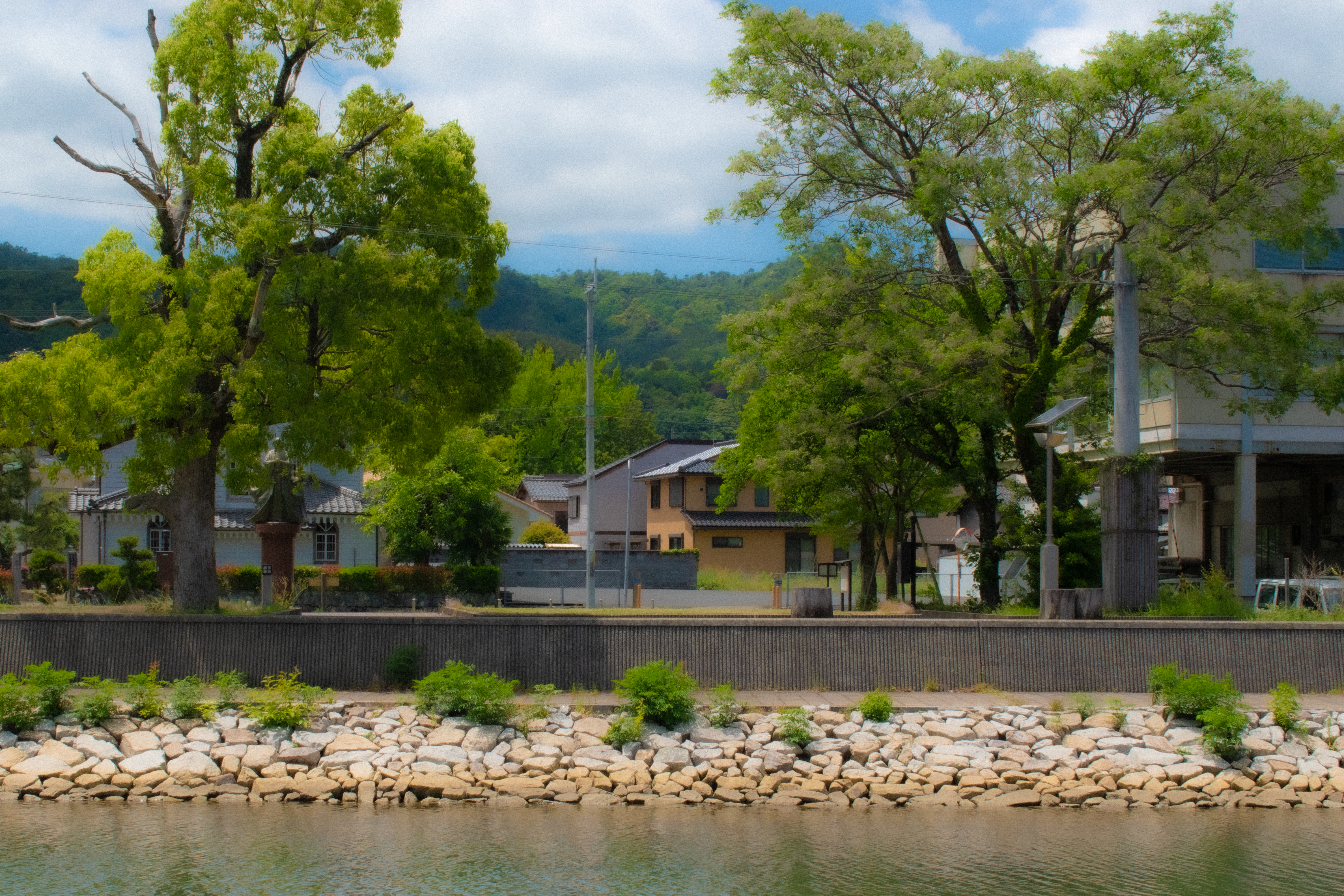 a body of water surrounded by trees and houses