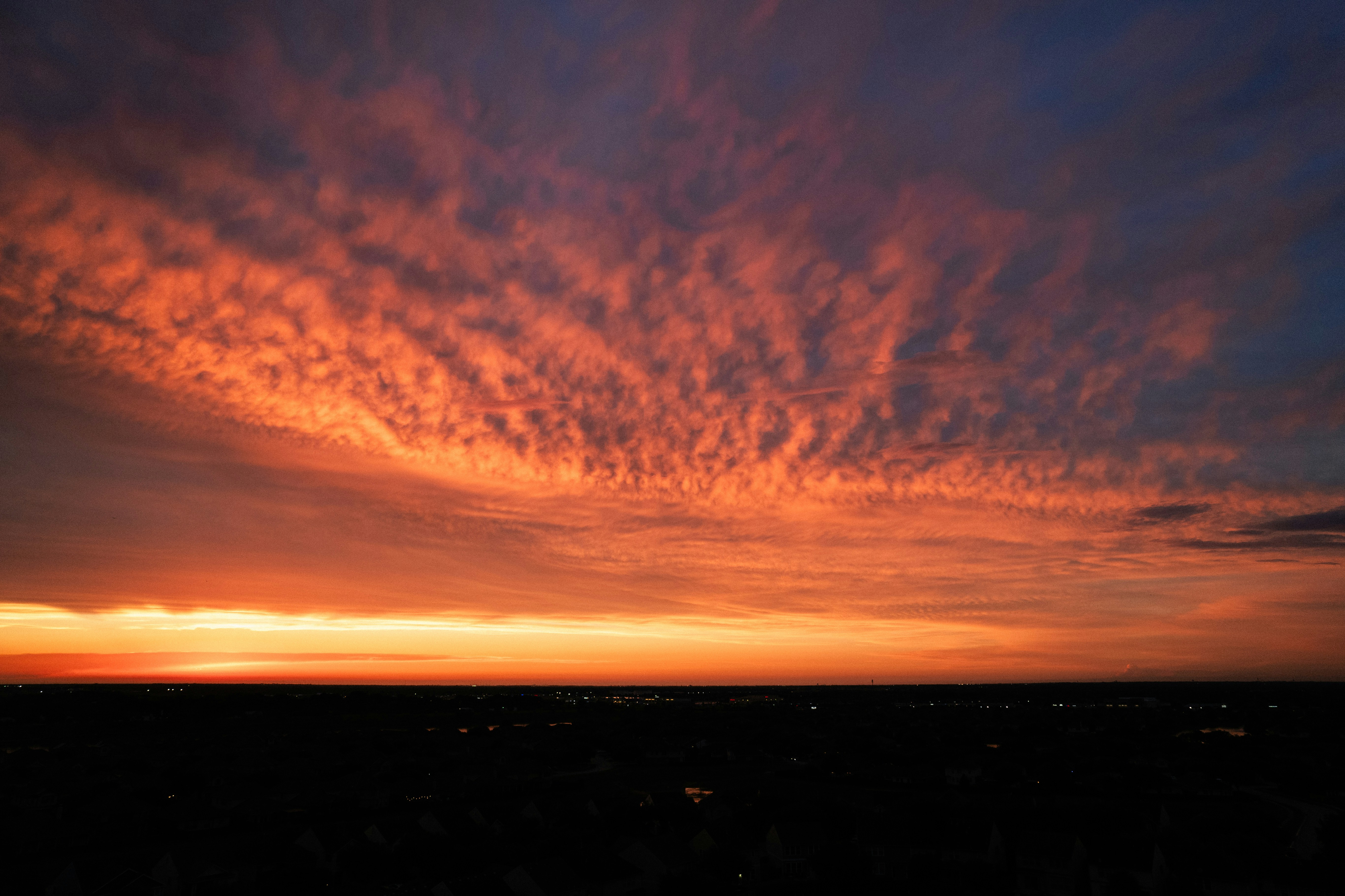 Photo by andrei_restrepo