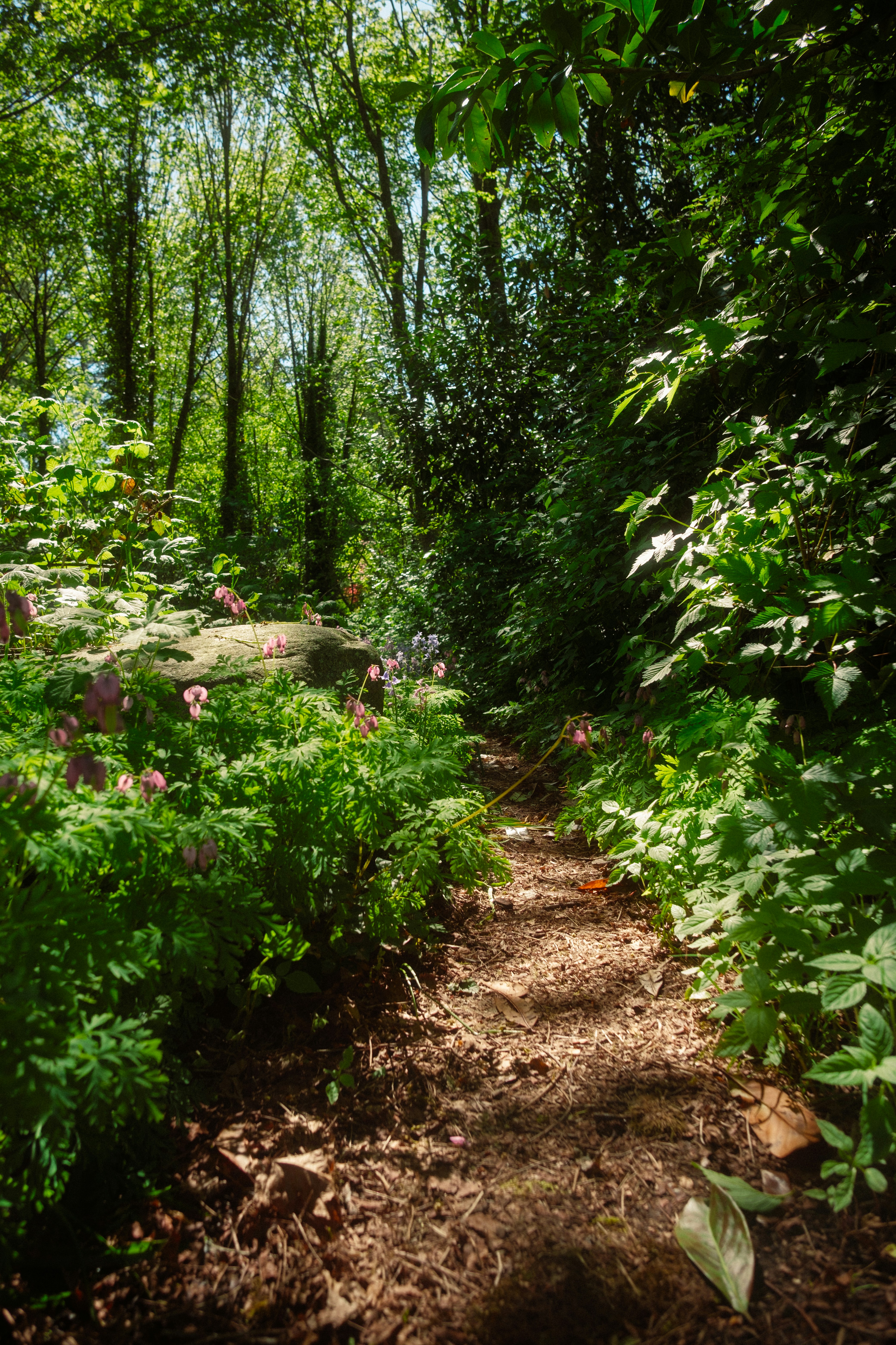 Photo by victormagese