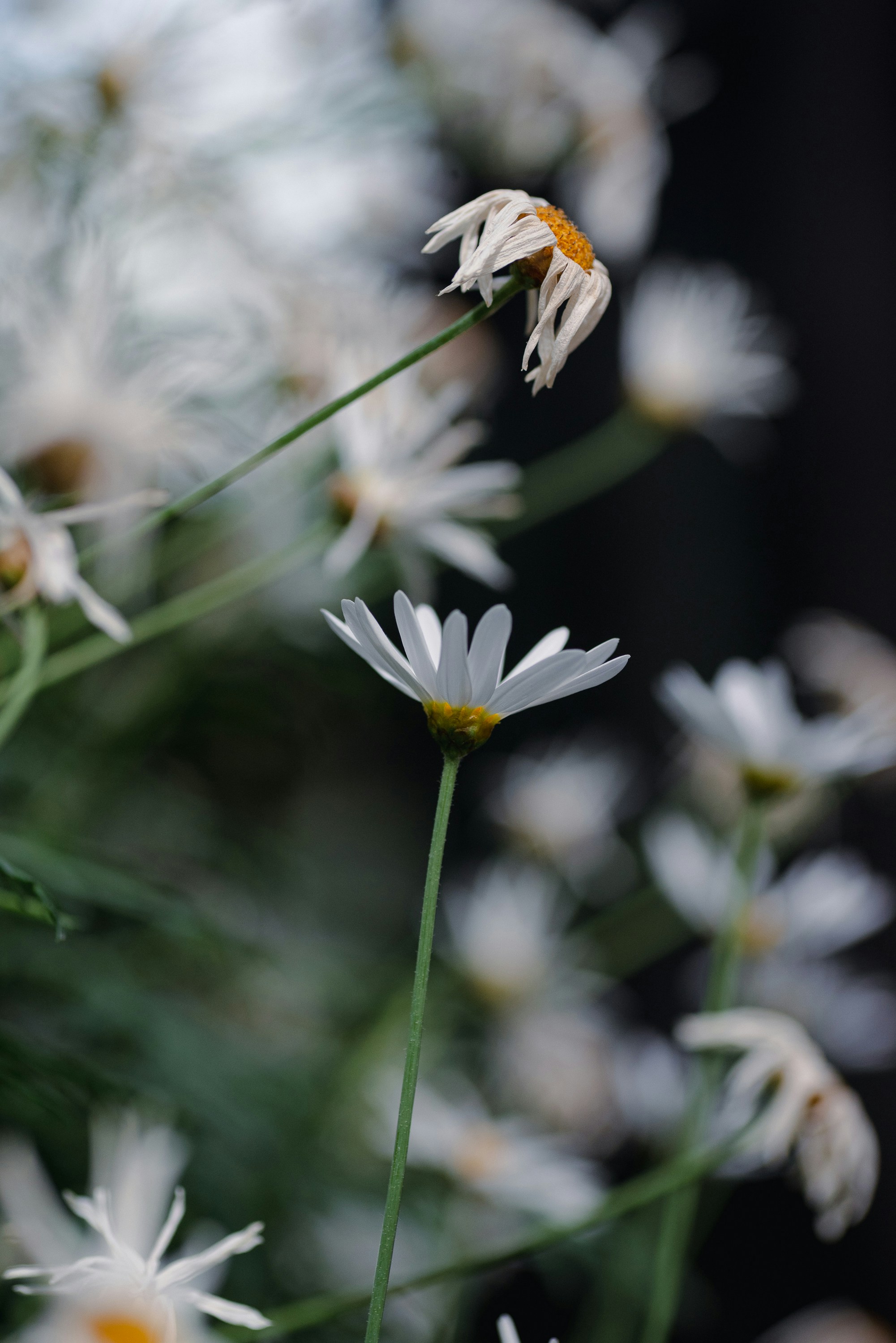 Photo by renatakneedham