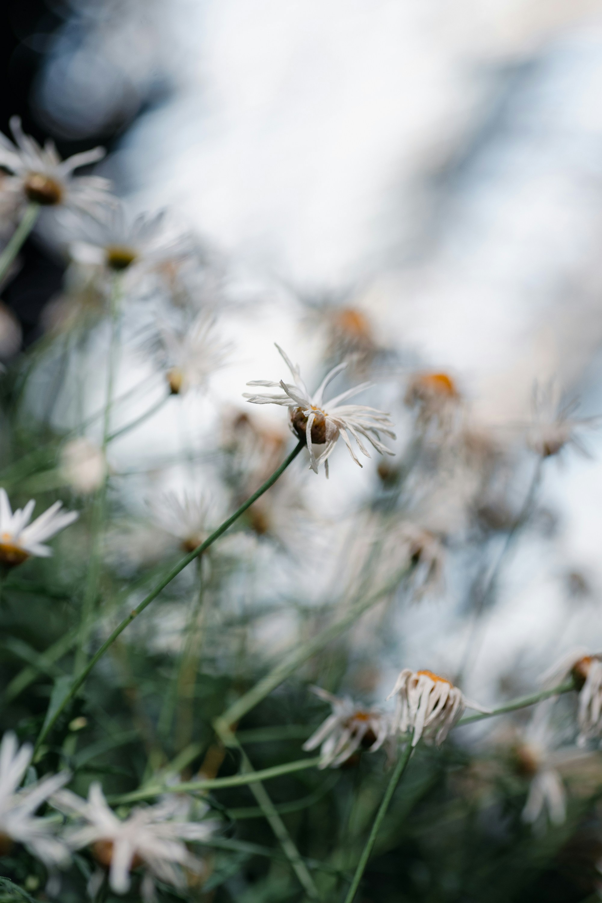 Photo by renatakneedham