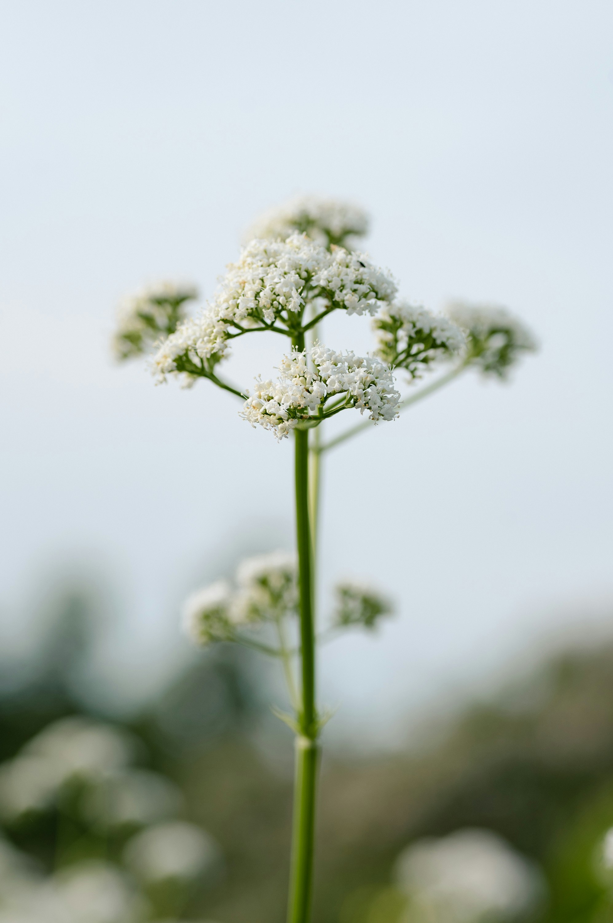 Photo by renatakneedham