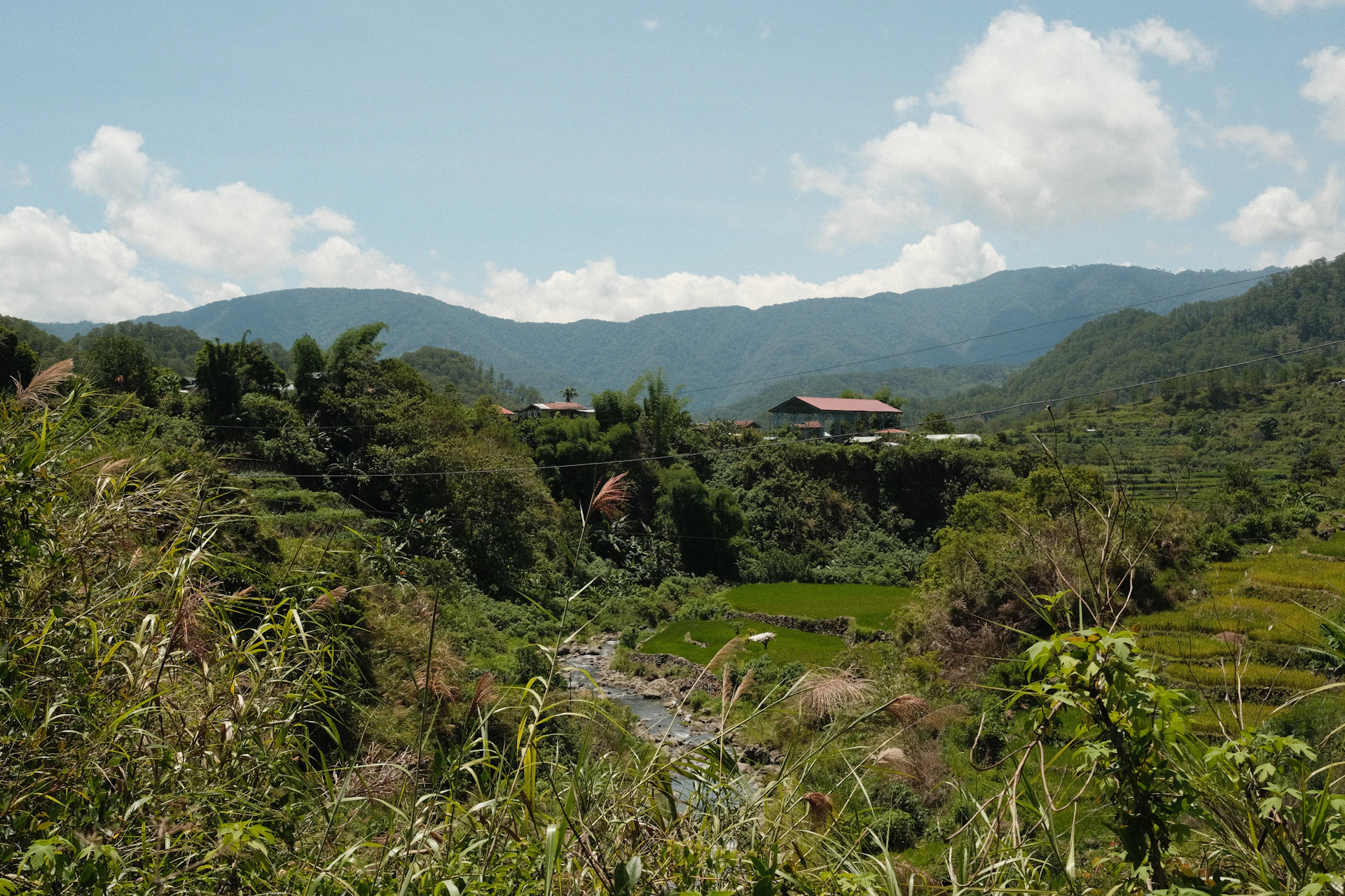 a river running through a lush green valley