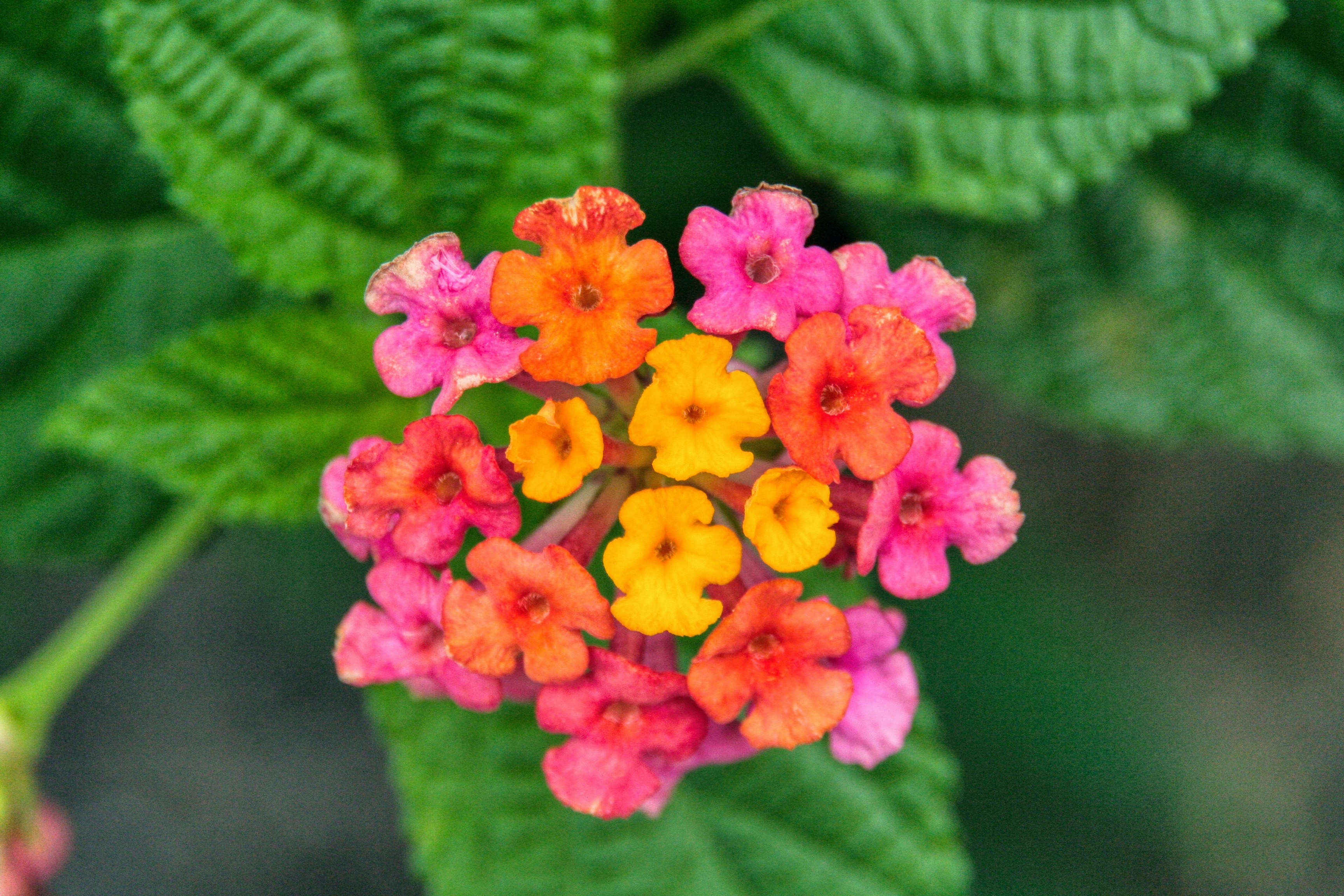 Photo by thomaskinto