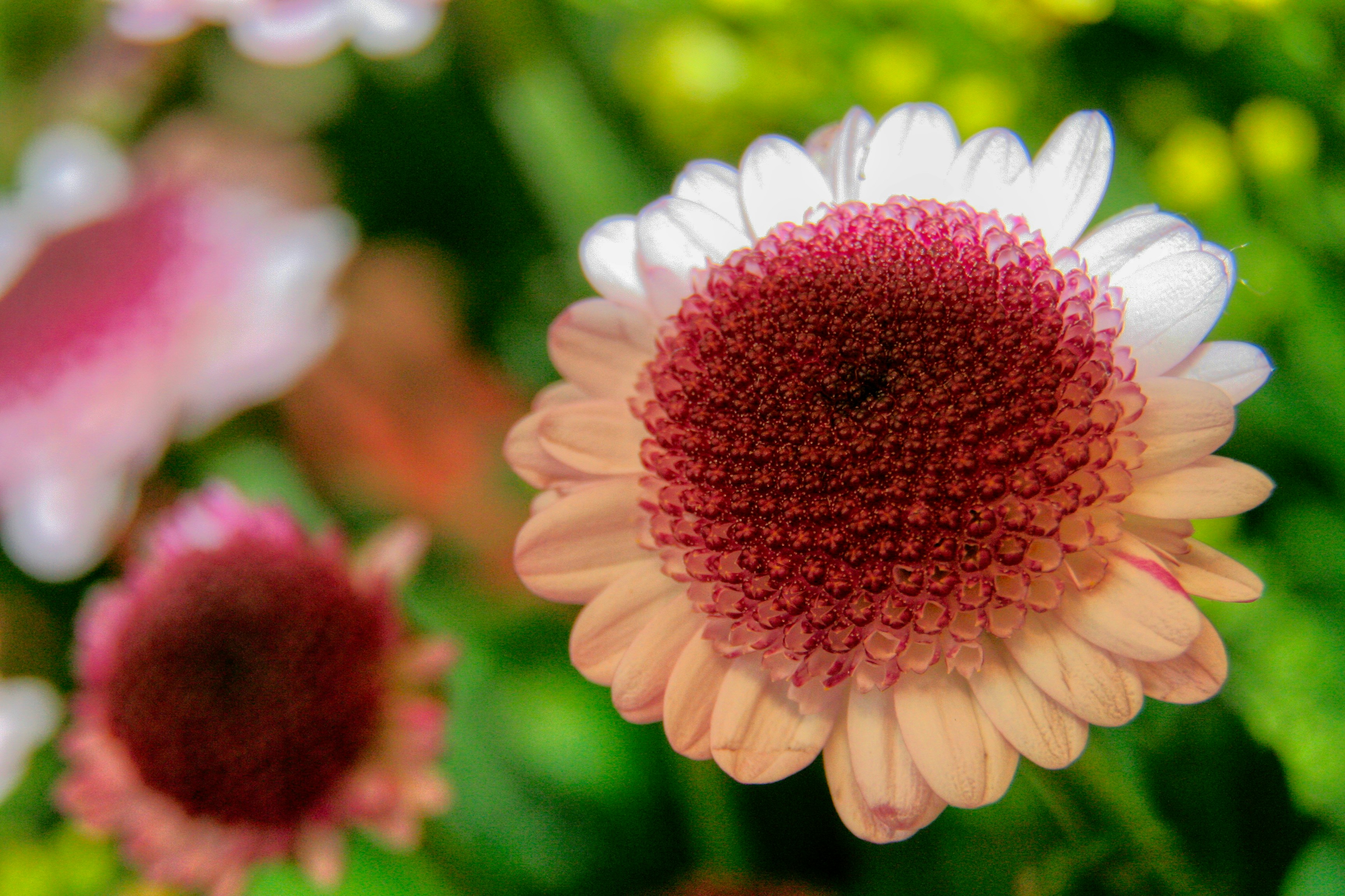 Photo by thomaskinto