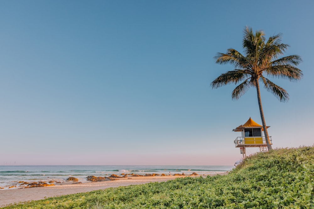a lifeguard tower on a beach next to a palm tree