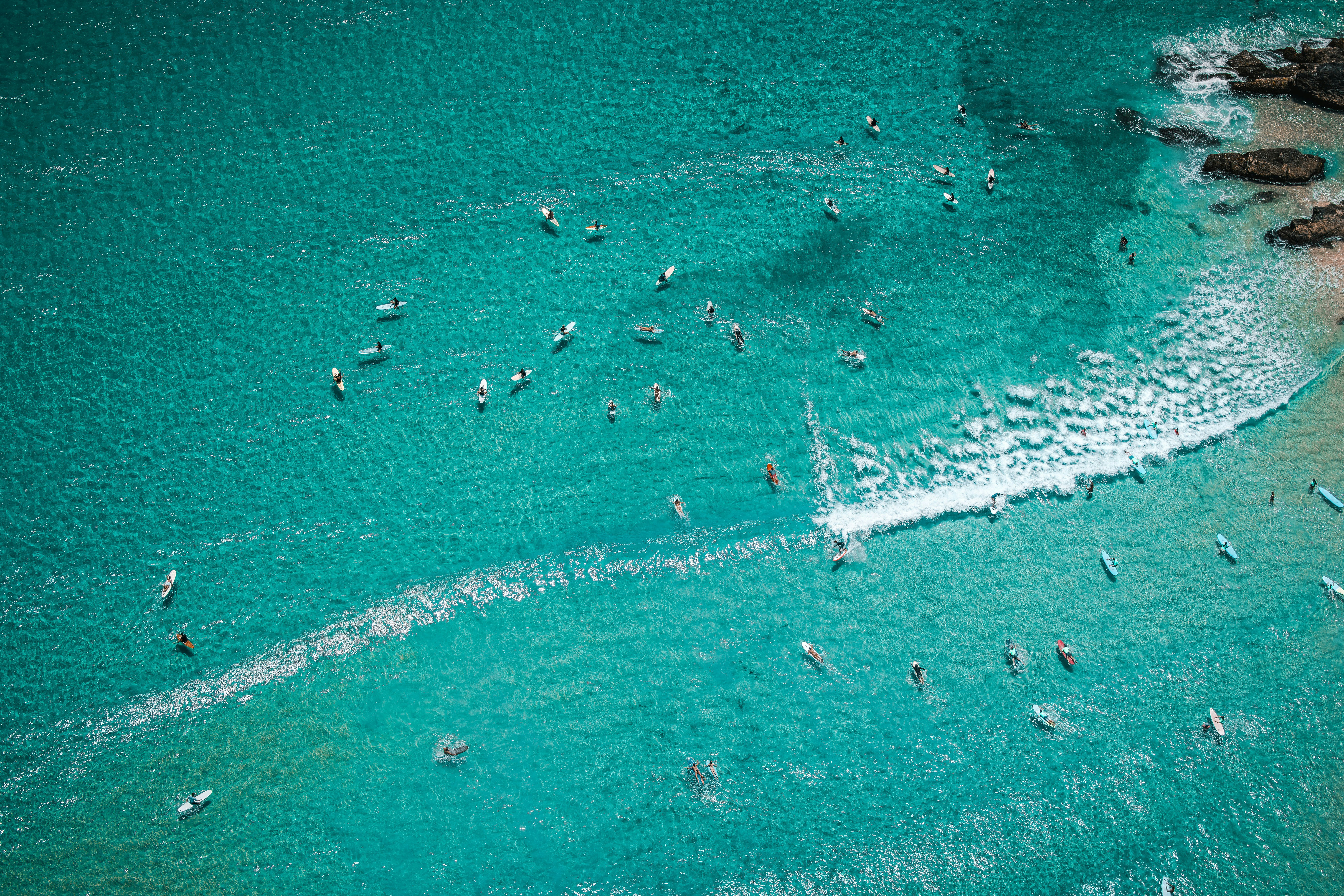 a group of people riding boards on top of a body of water