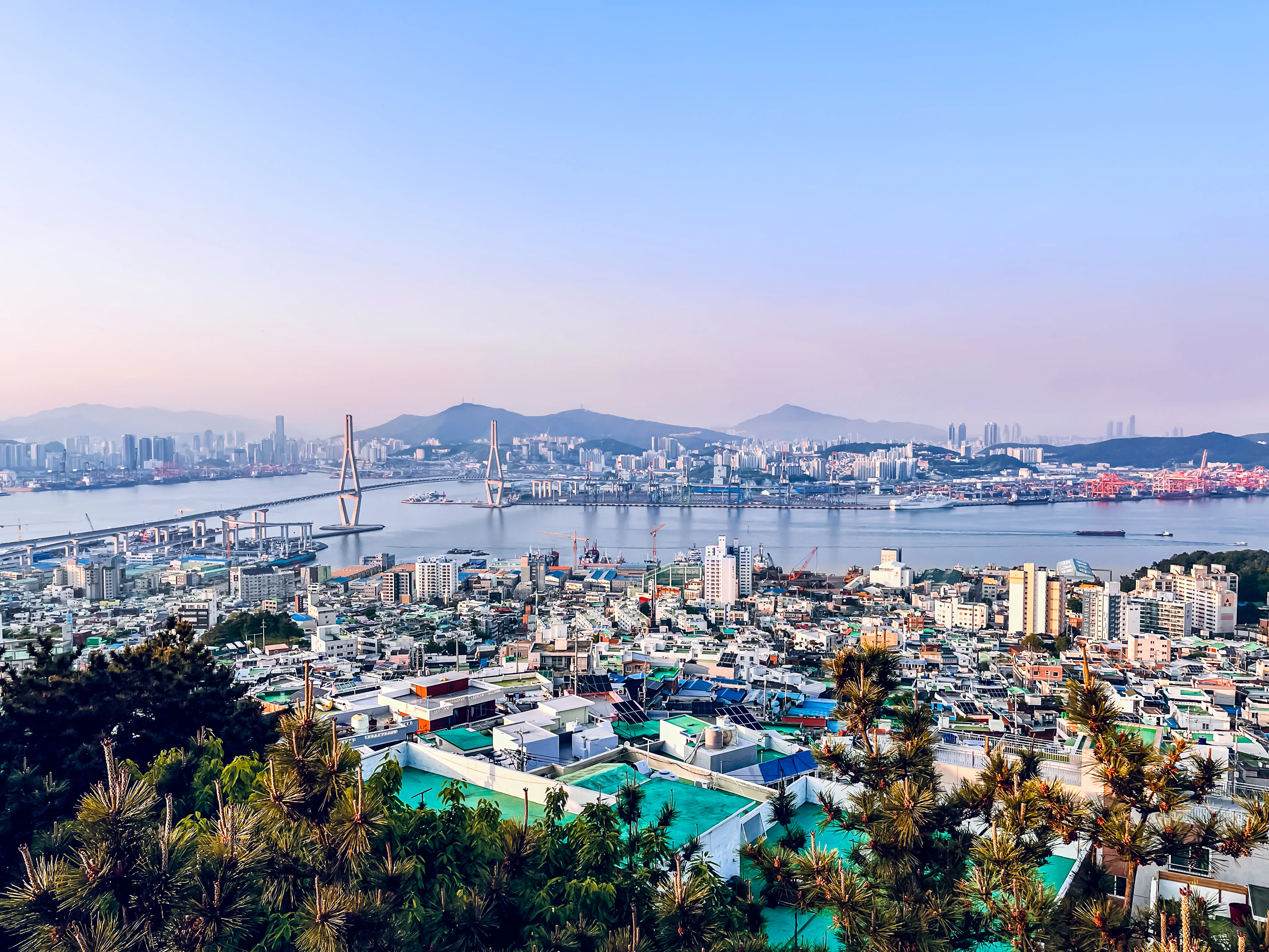 Busan's harbor and skyline seen from a hillside at dusk, a bridge crossing the bay behind the rooftops.