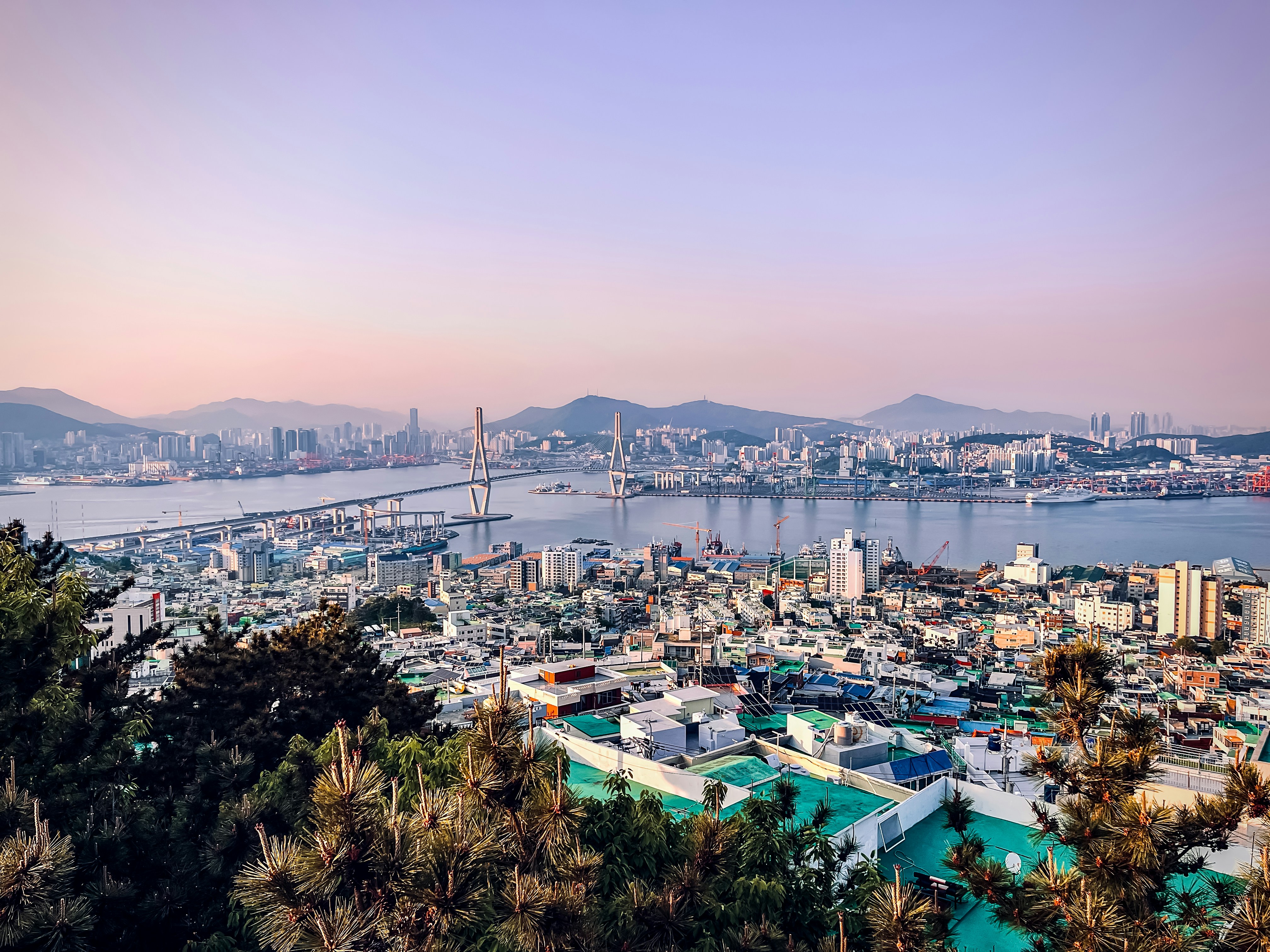 a view of a city with a bridge in the background