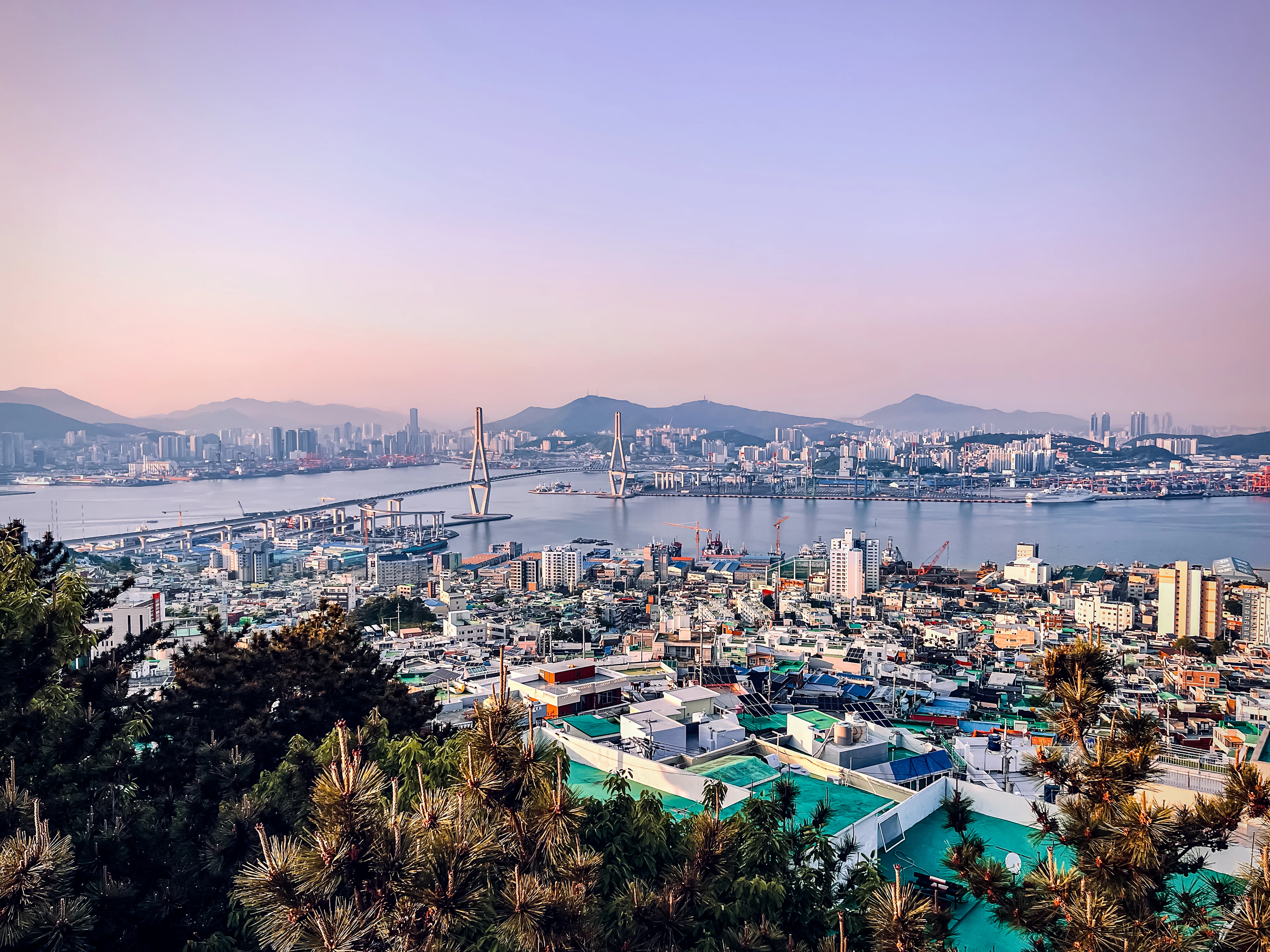 Elevated view over Busan's rooftops and harbor bridge at dusk, hills and sea fading into pink haze.