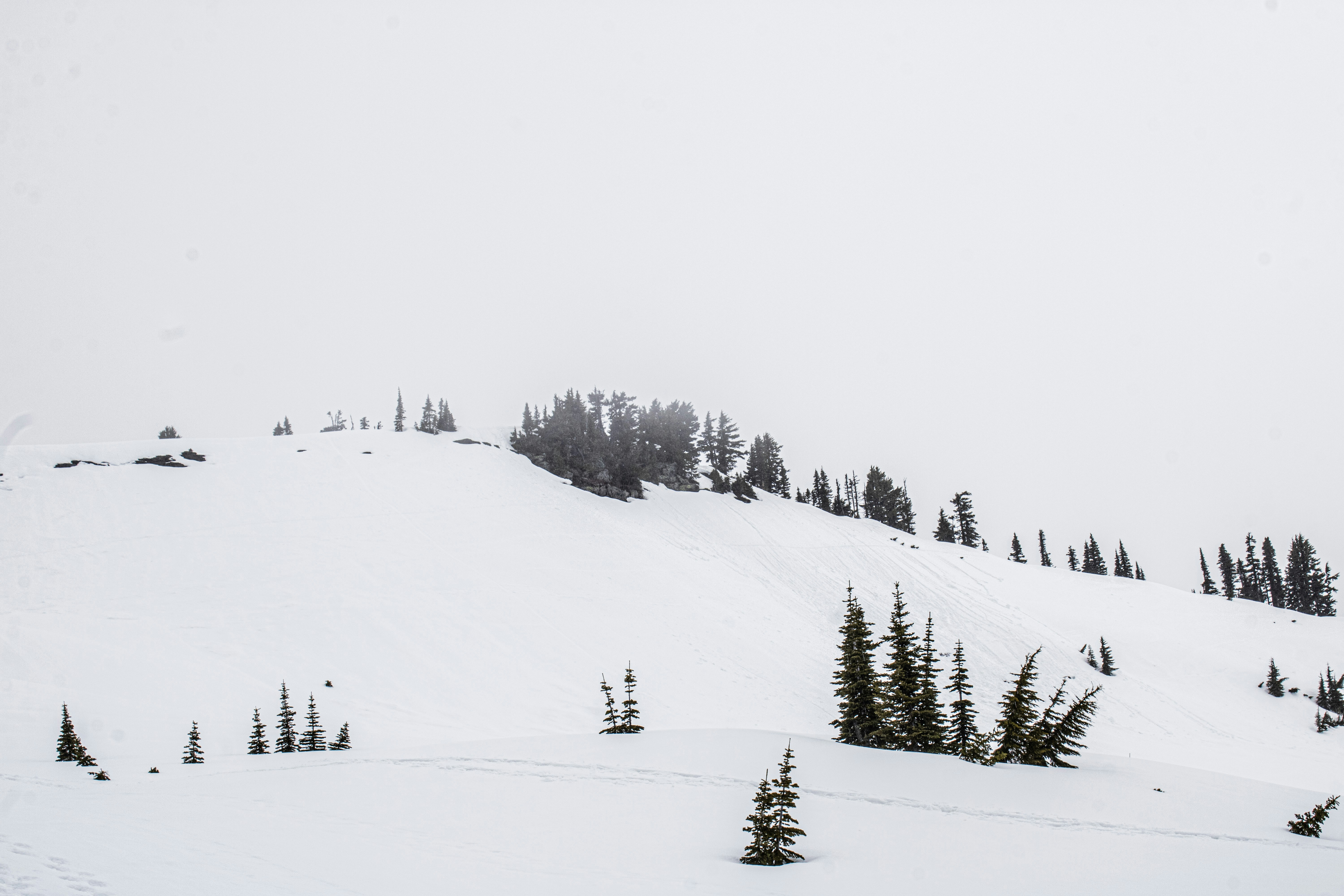 Photo by prphotography262