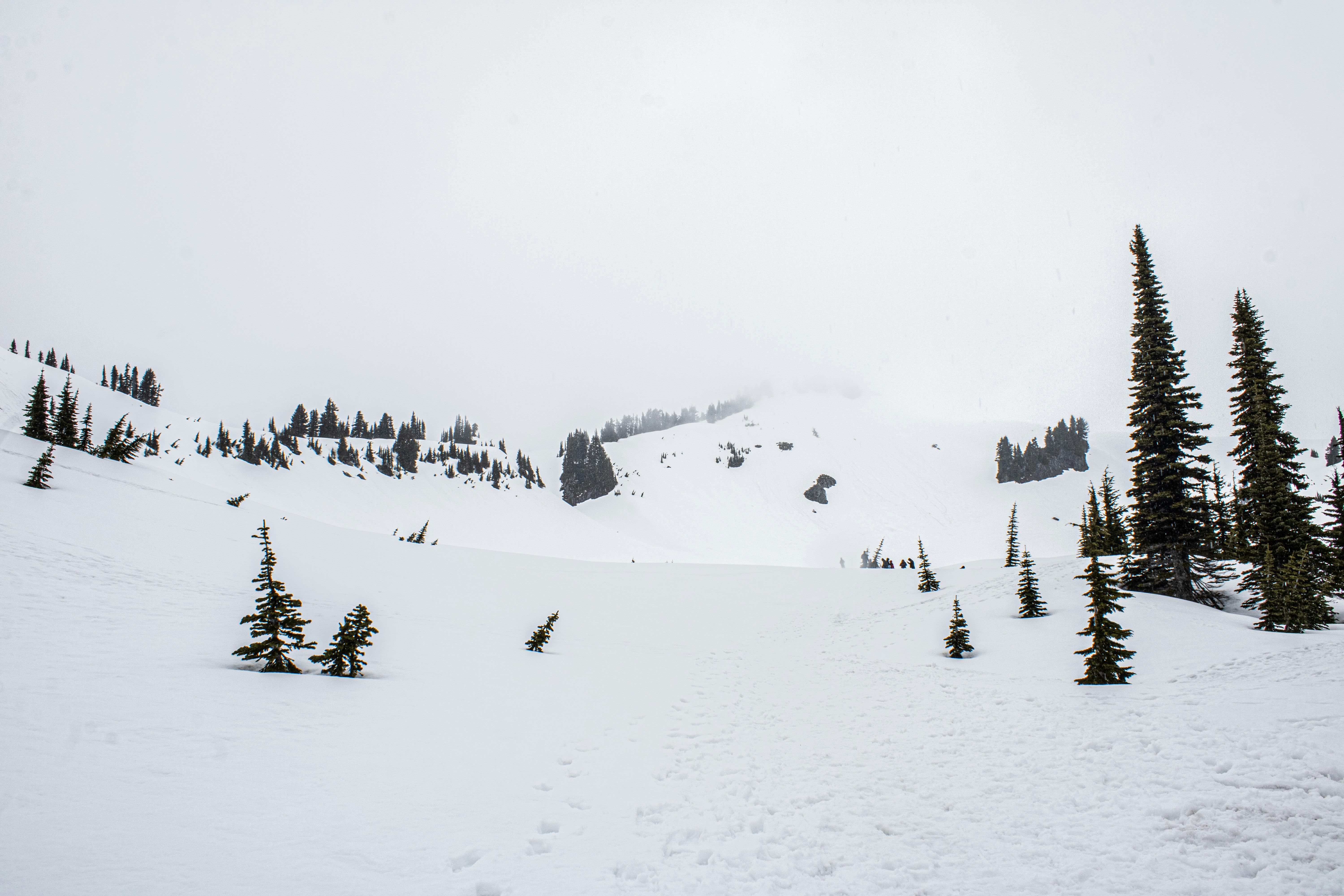 Photo by prphotography262