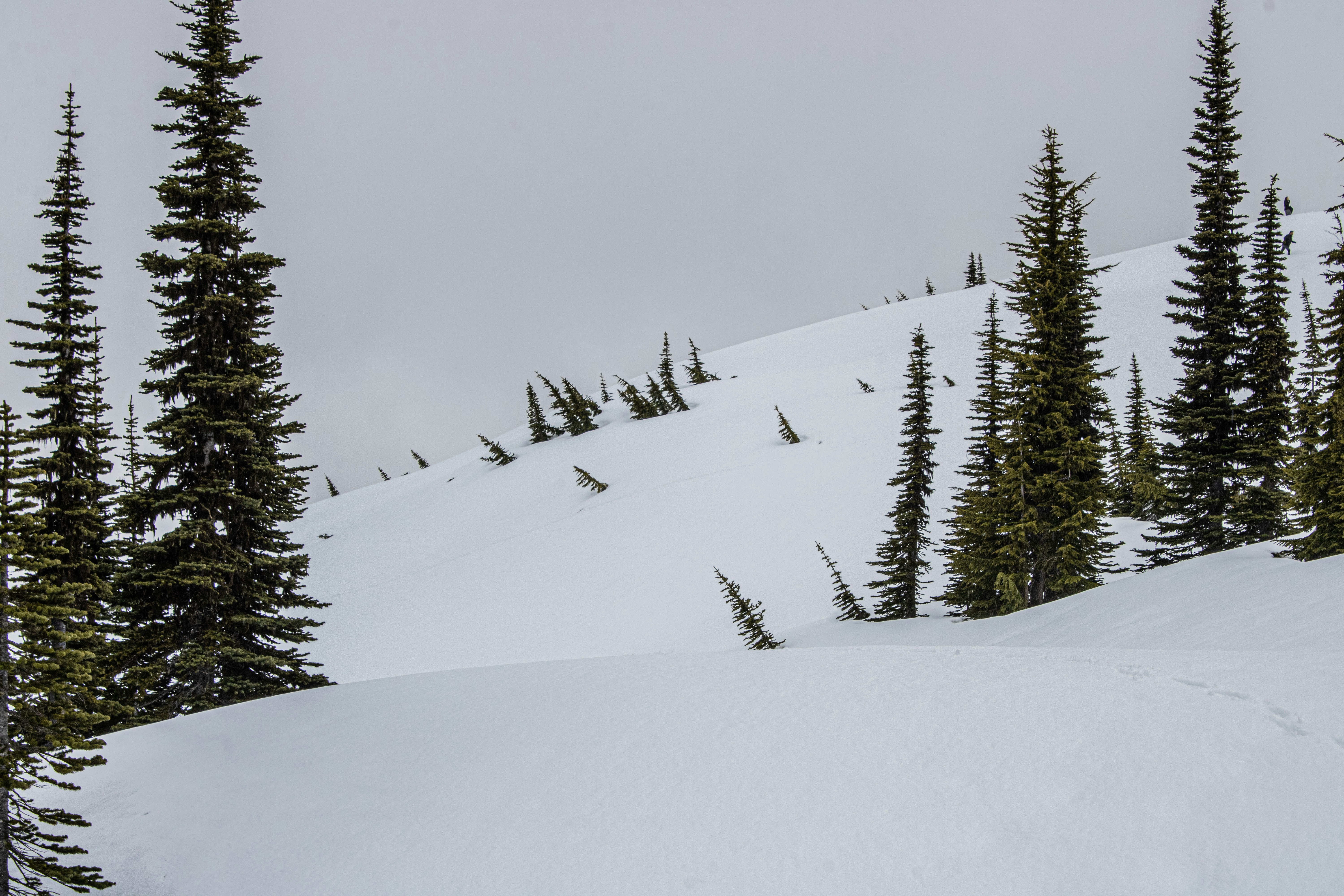 Photo by prphotography262