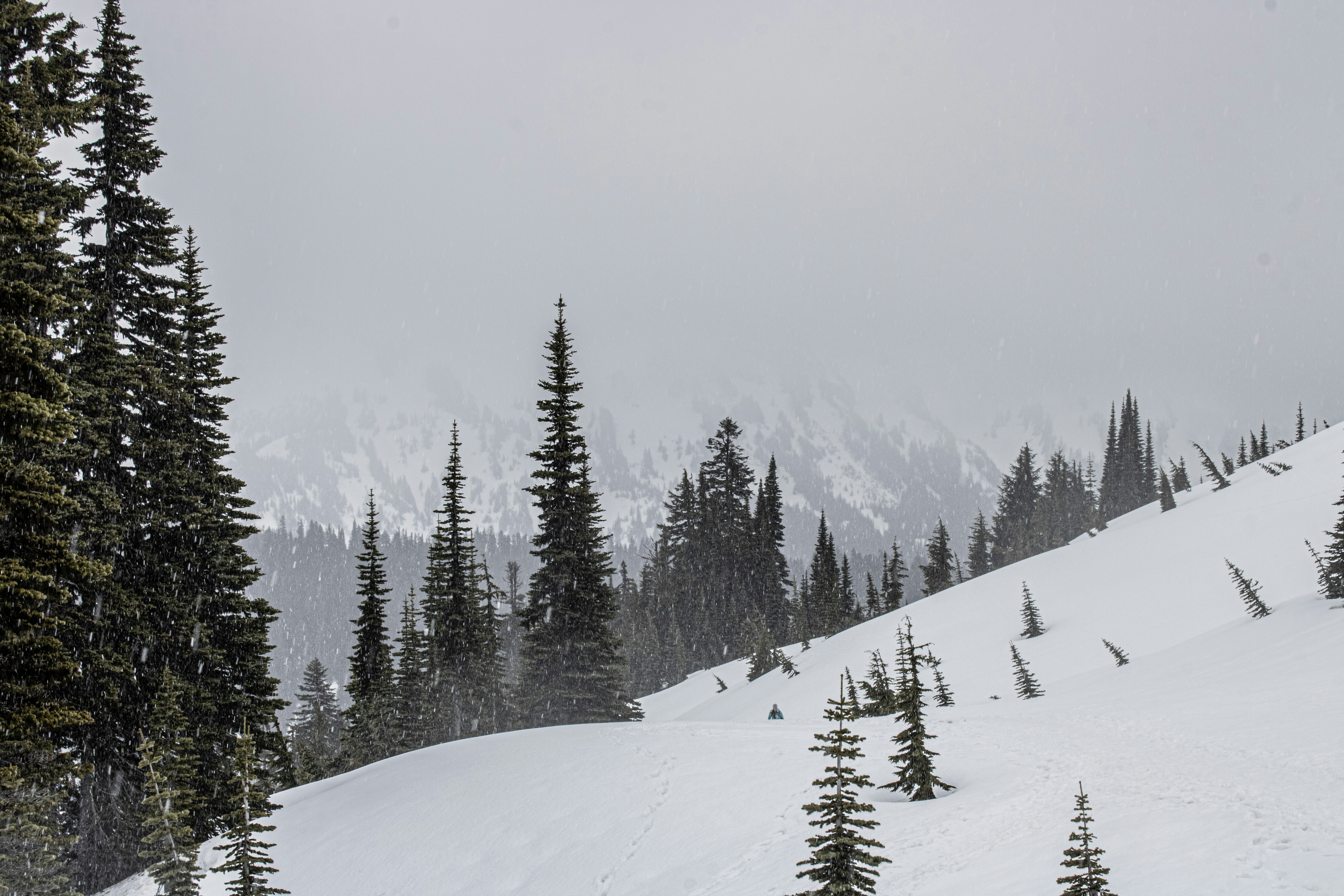 Photo by prphotography262