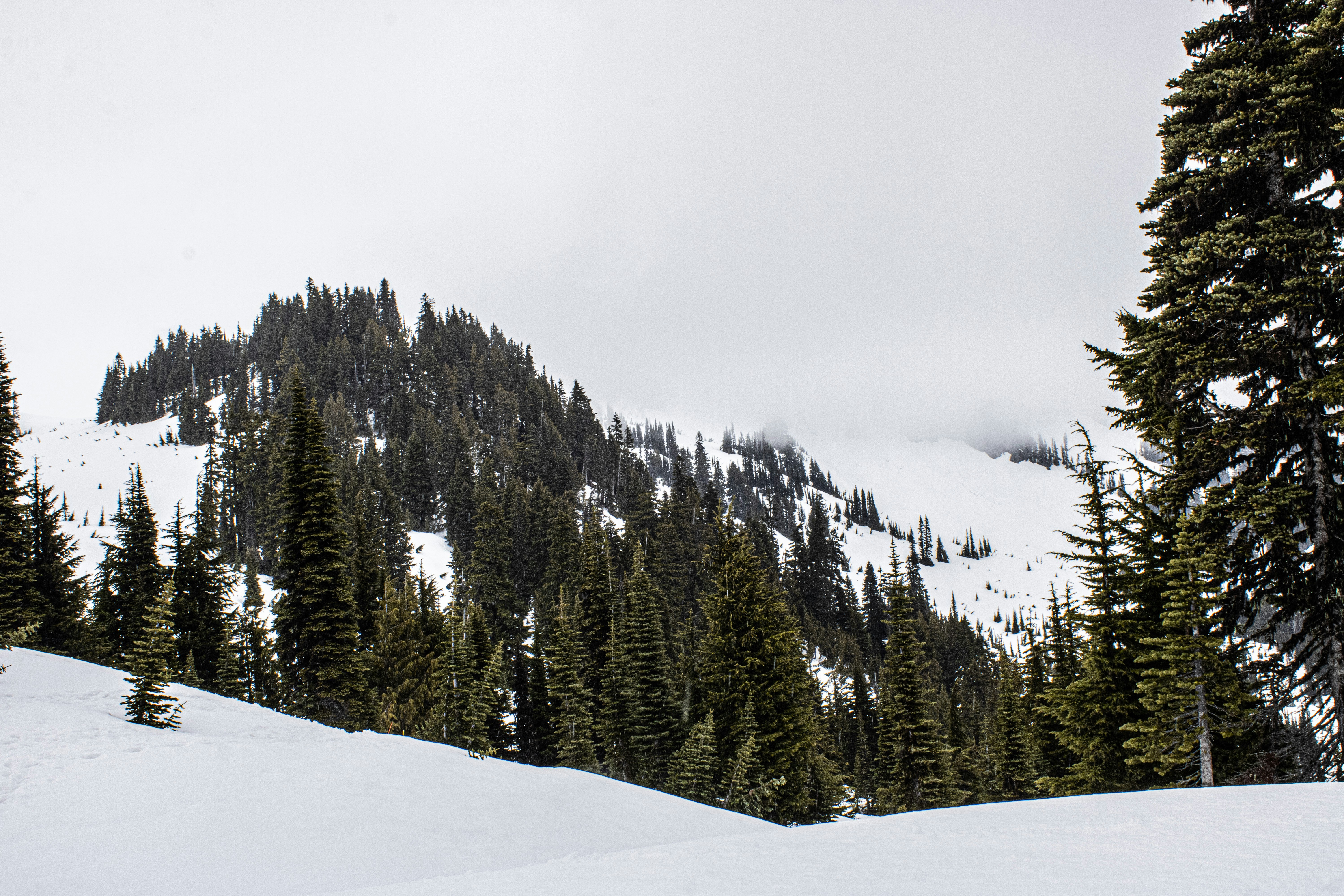 Photo by prphotography262