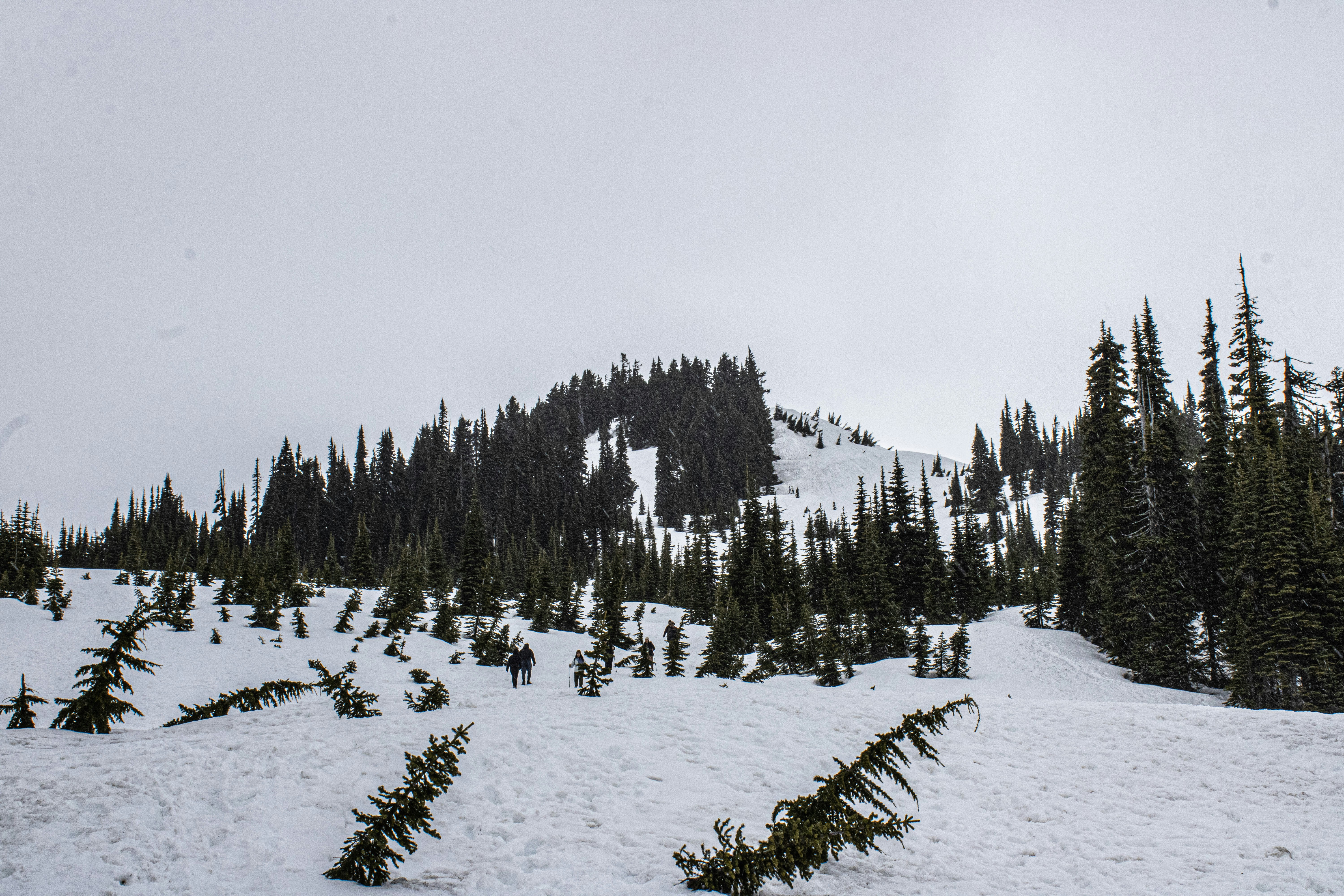 Photo by prphotography262