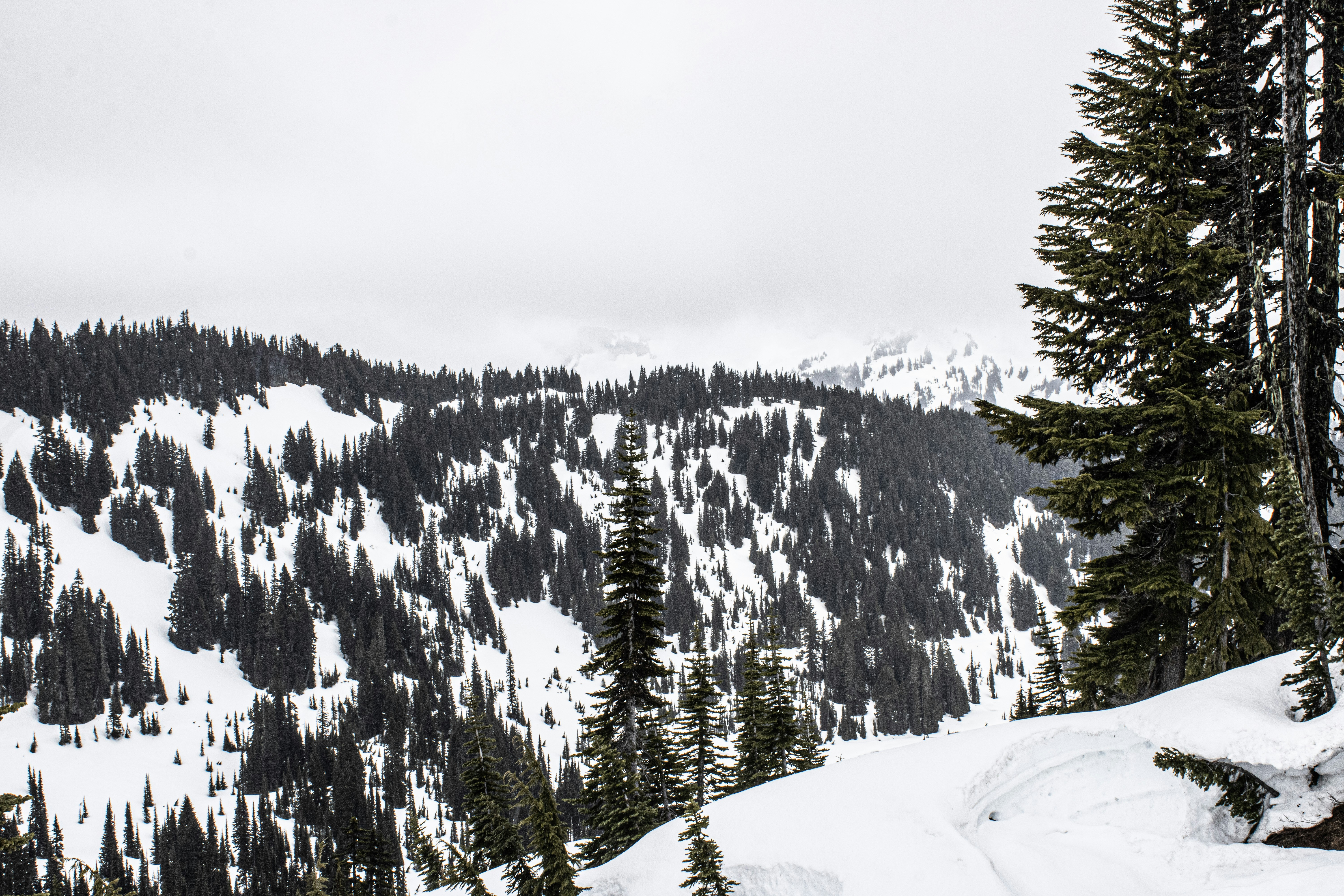 Photo by prphotography262