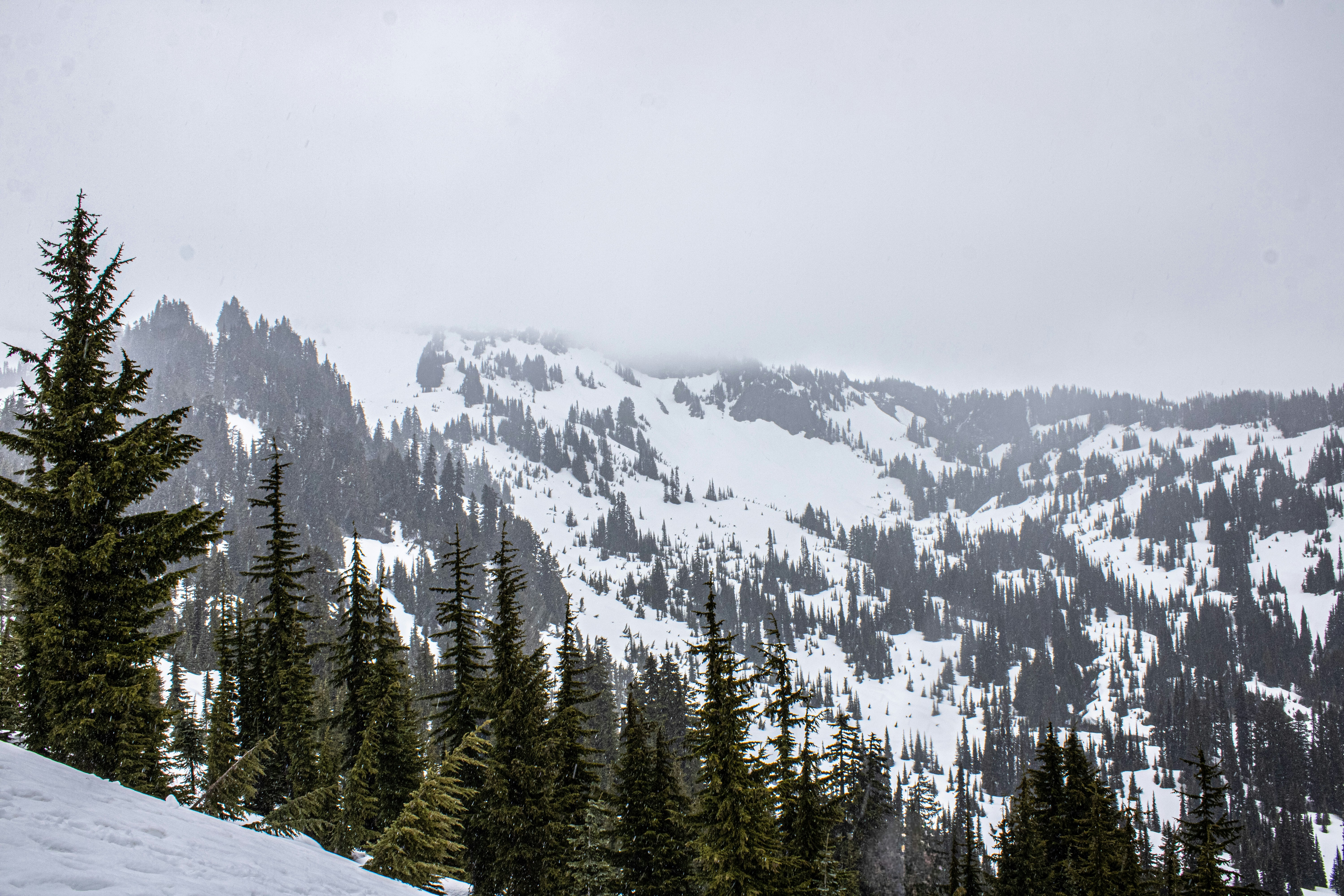 Photo by prphotography262