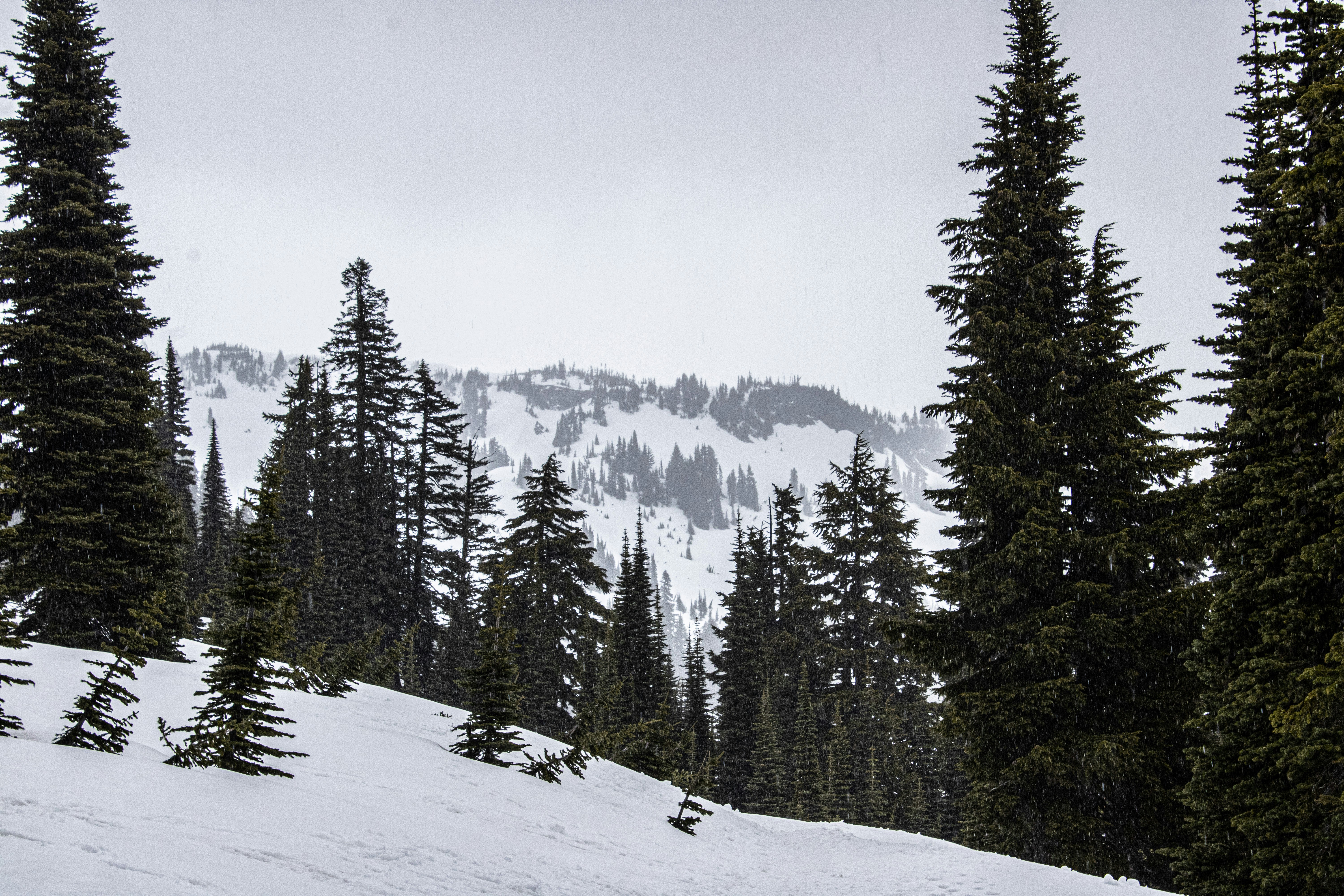 Photo by prphotography262