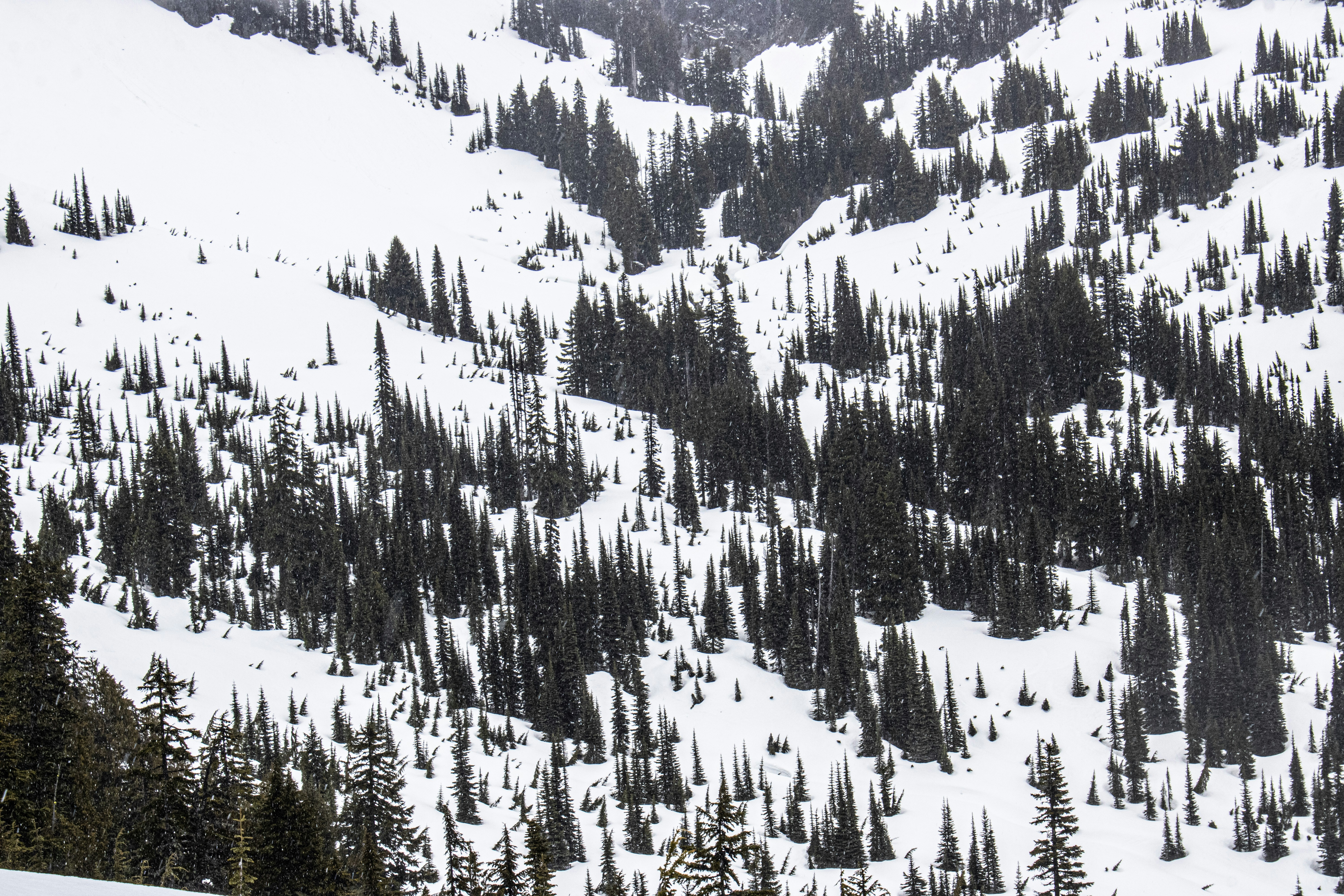 Photo by prphotography262