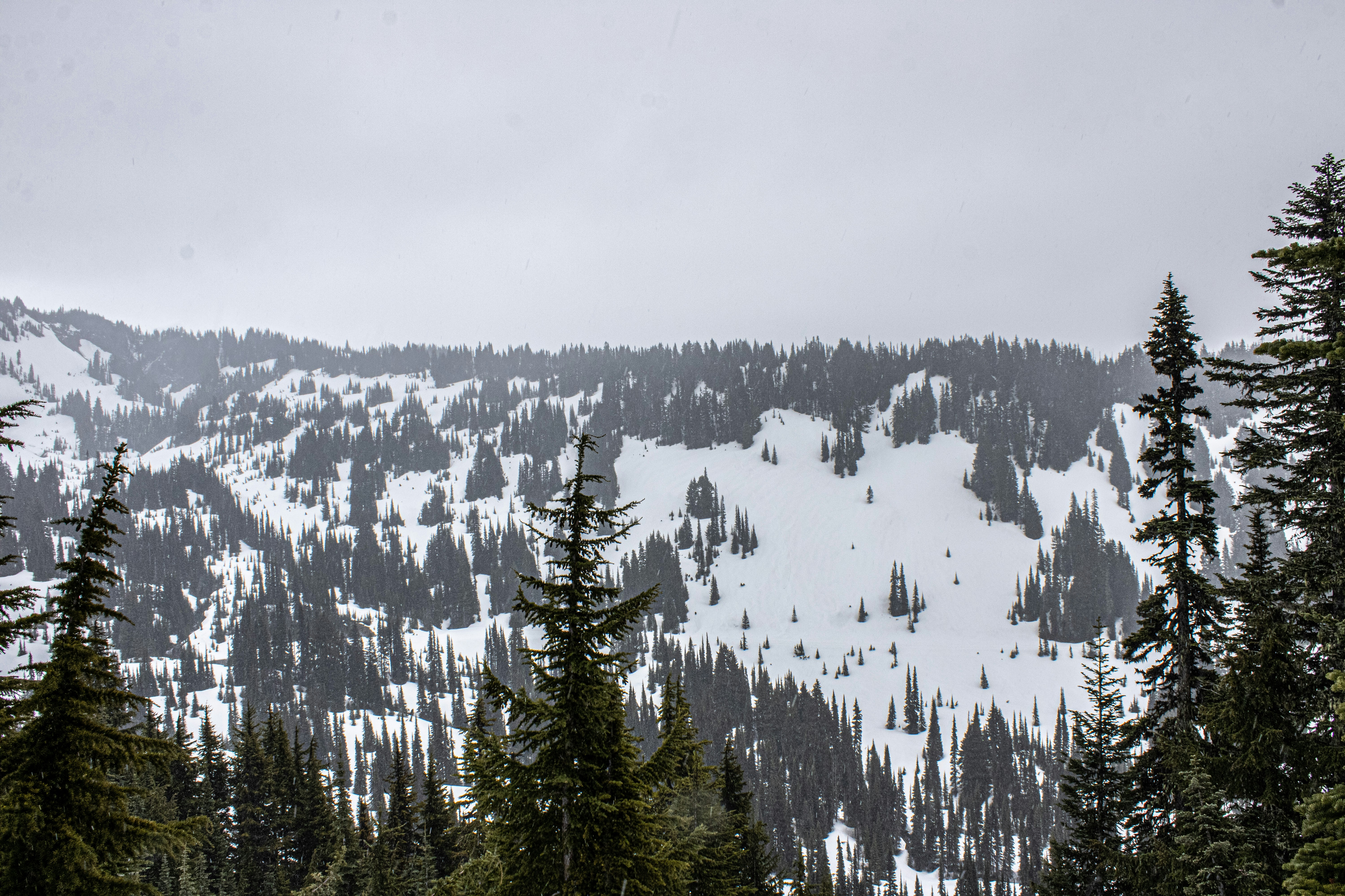 Photo by prphotography262