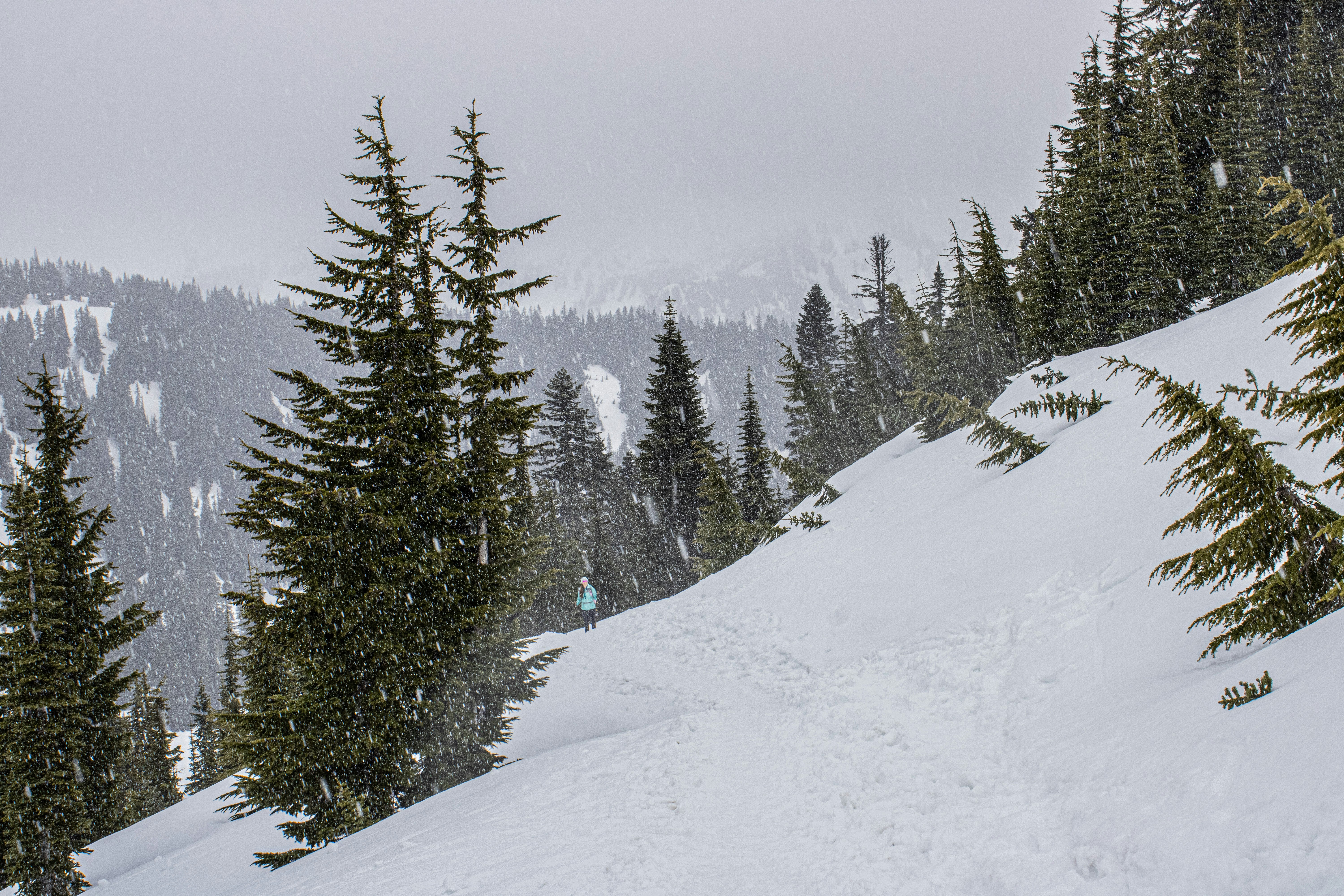 Photo by prphotography262