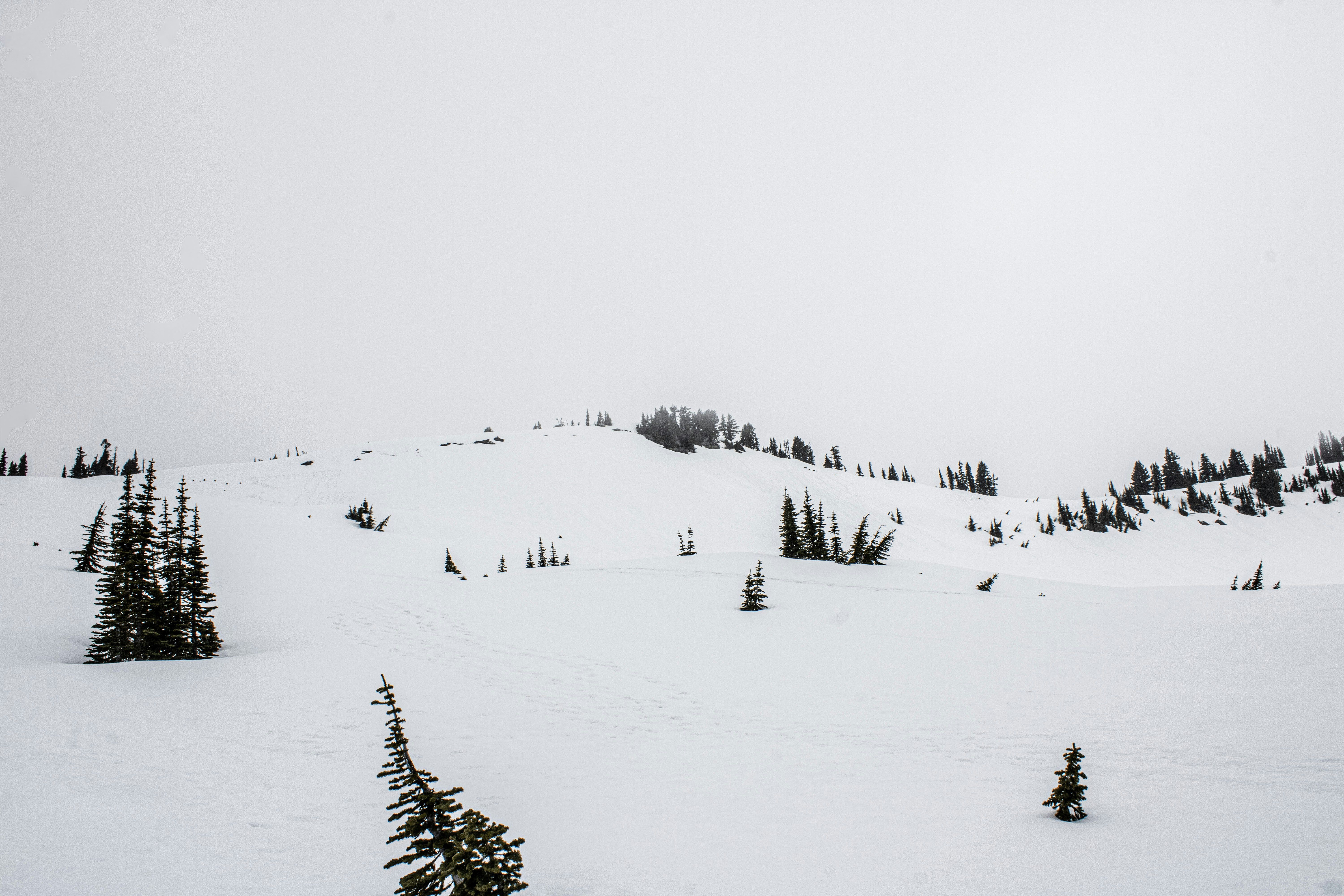 Photo by prphotography262