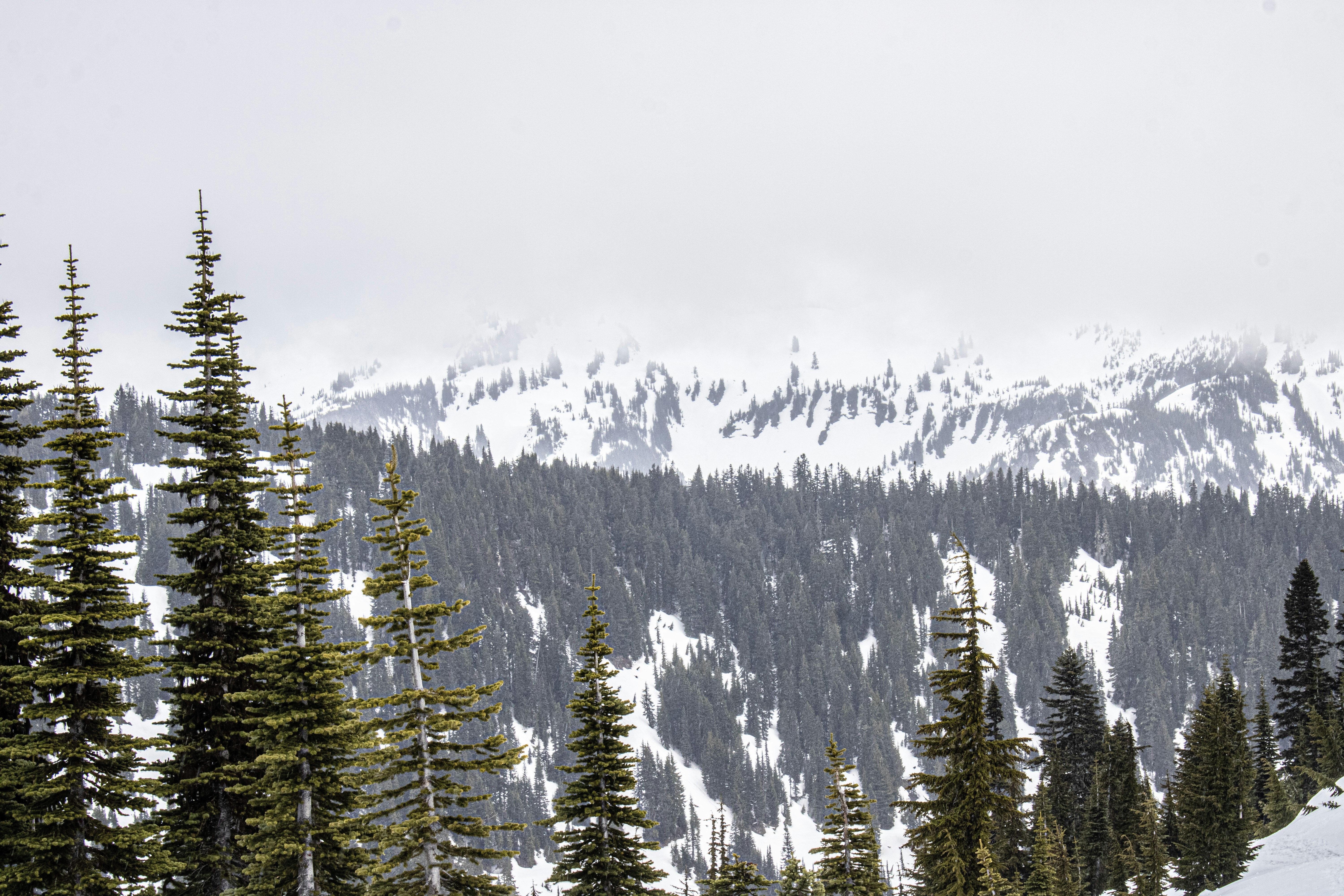 Photo by prphotography262