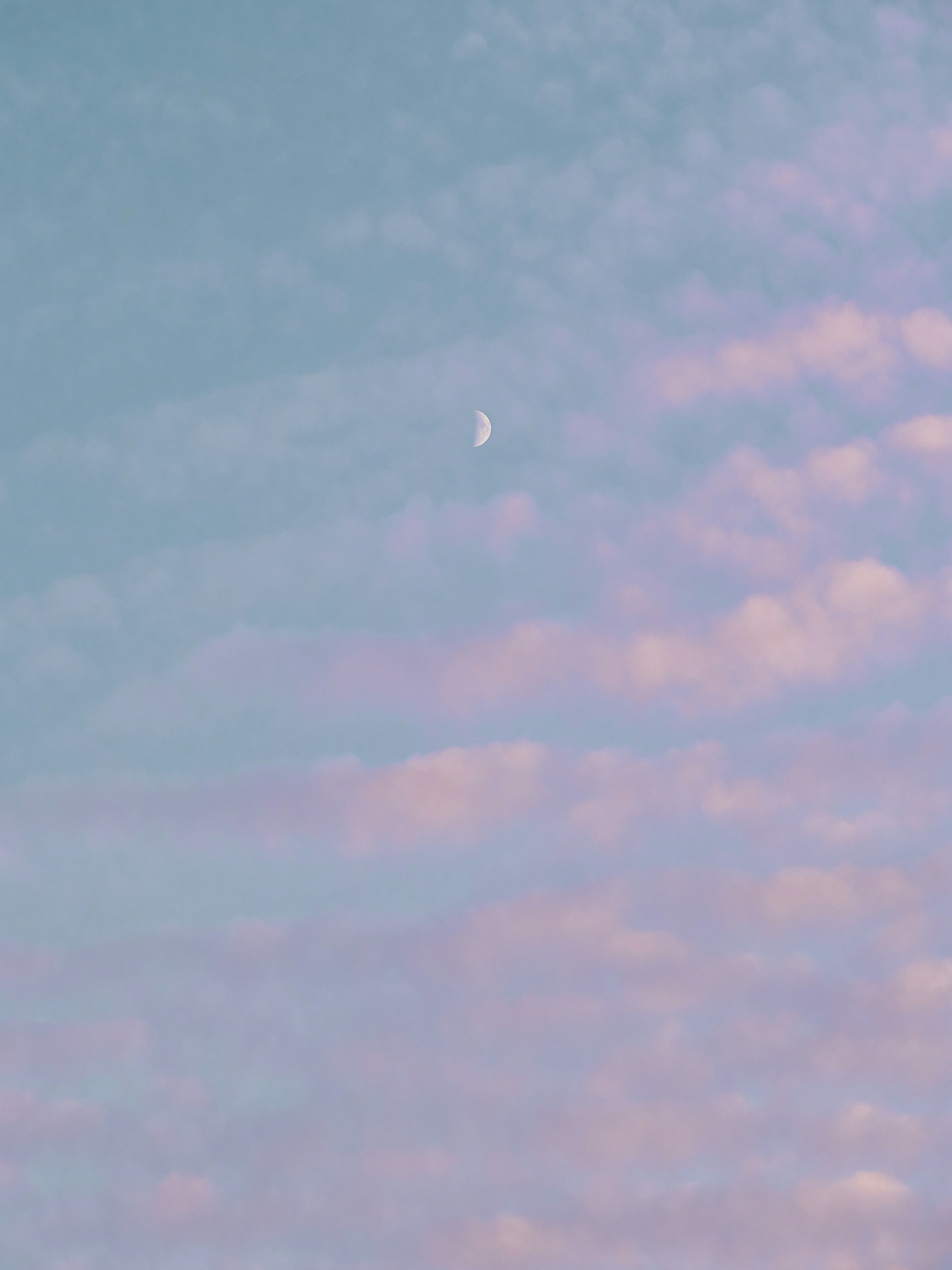 a plane flying in the sky with a half moon in the distance