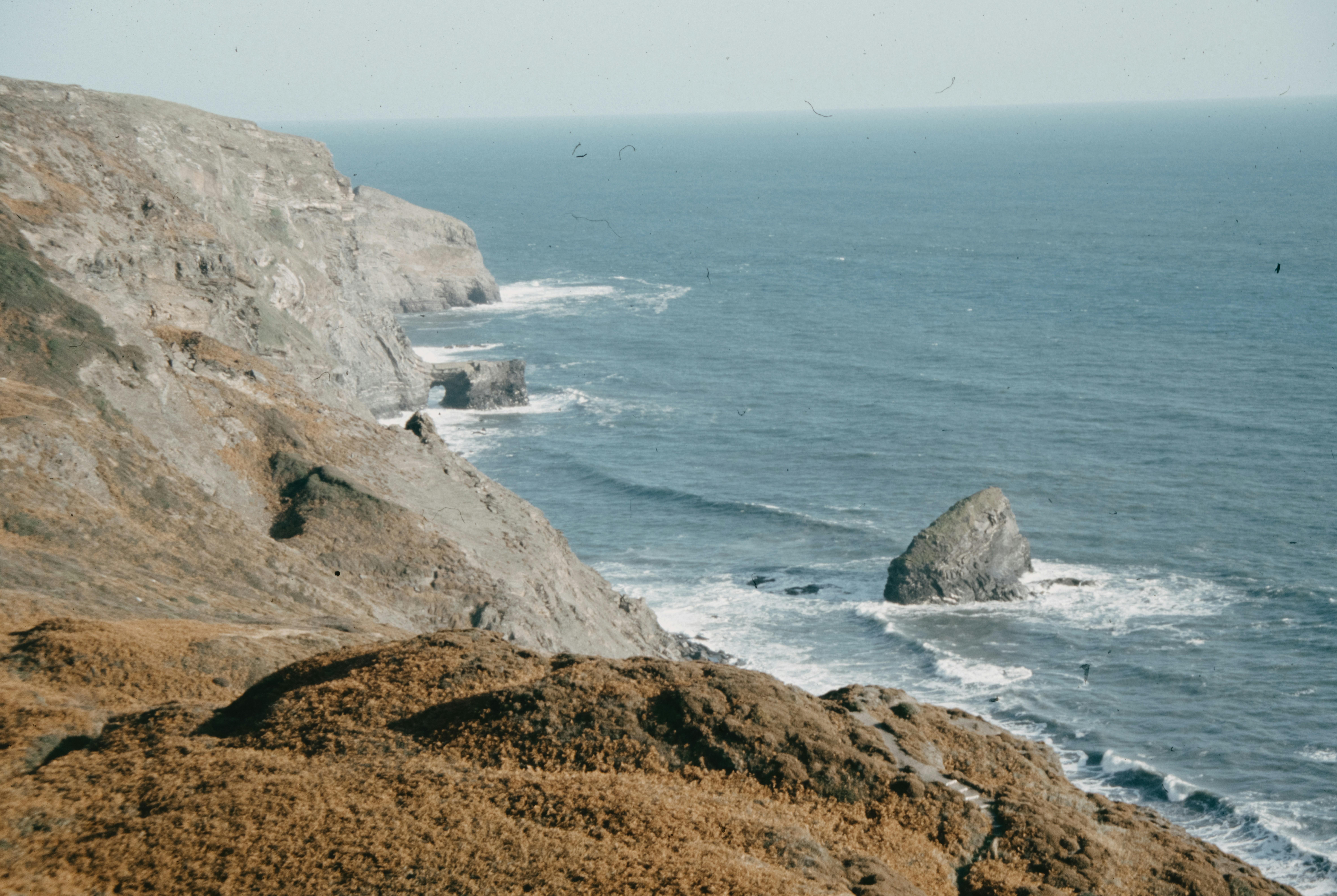 Photo by anniespratt