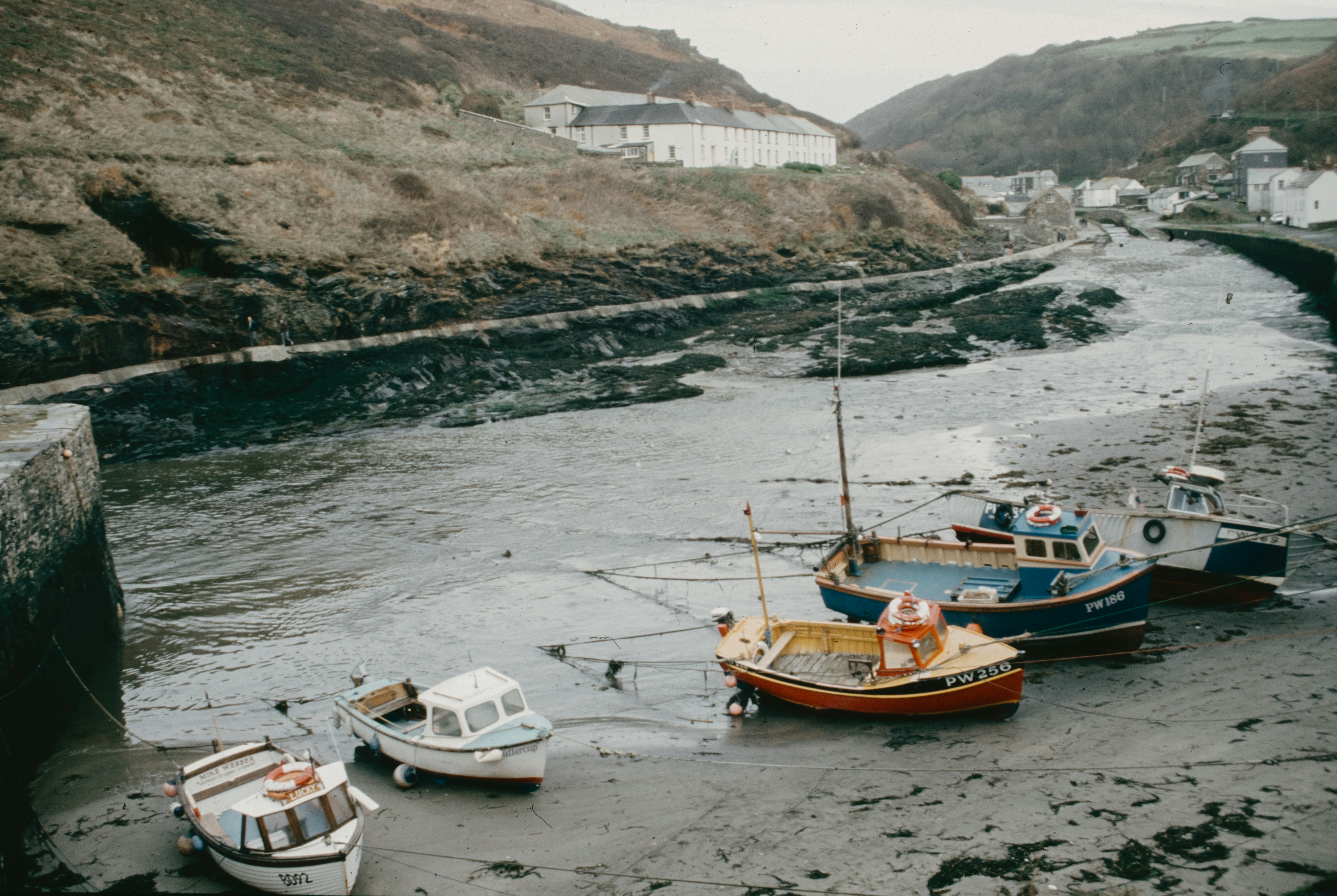 Photo by anniespratt