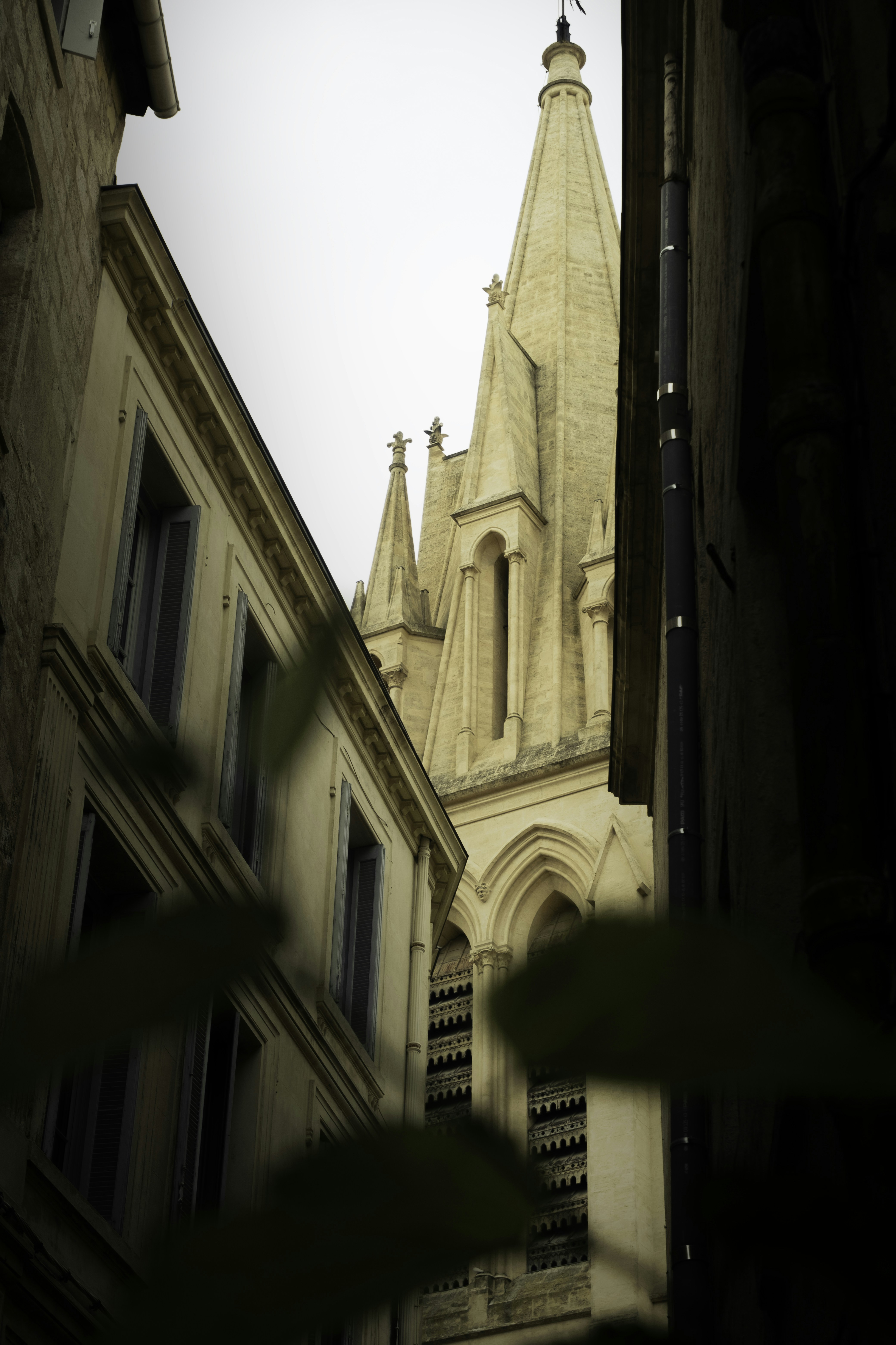 Photo by olex_studio