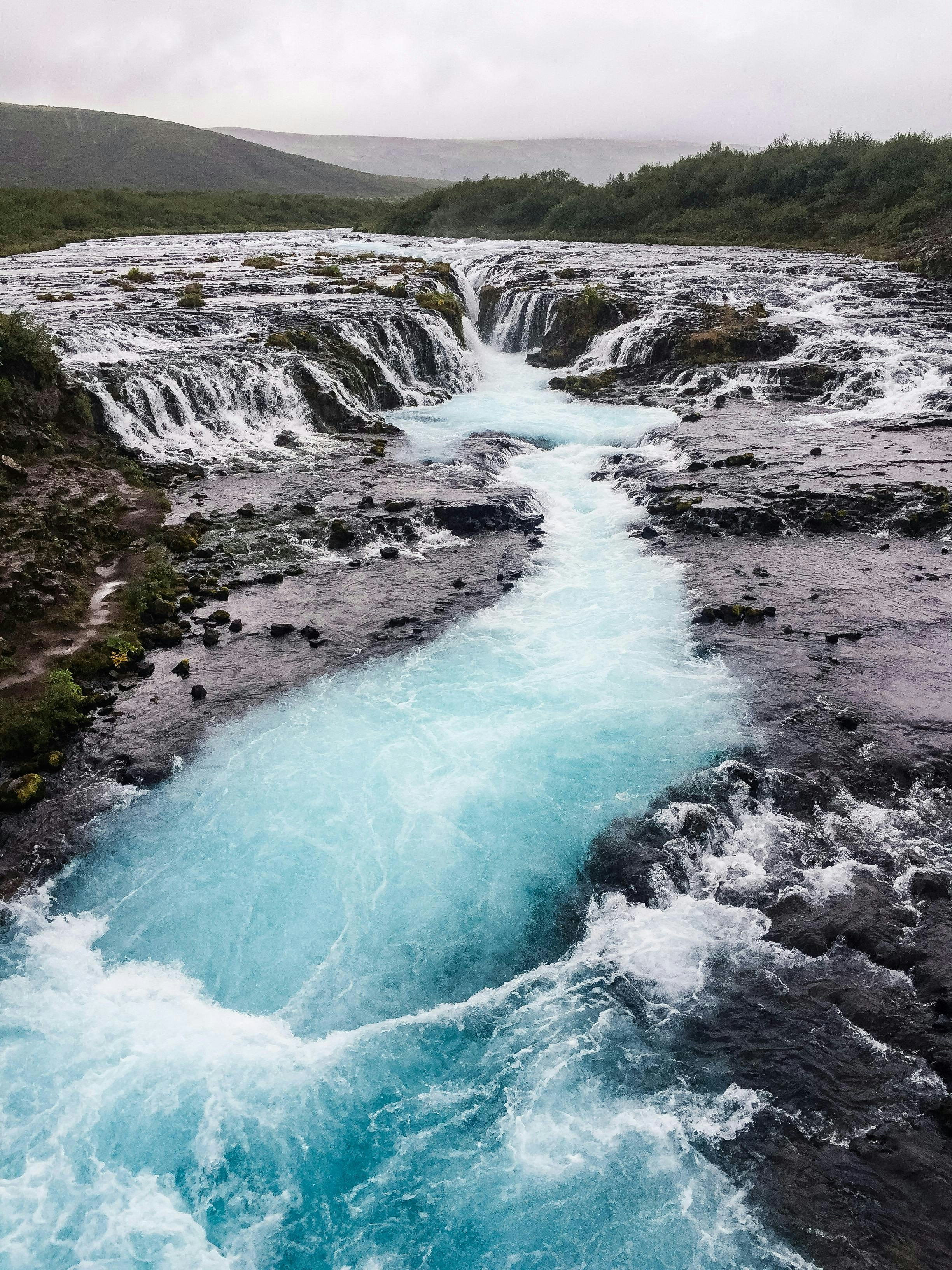a river running through a lush green forest