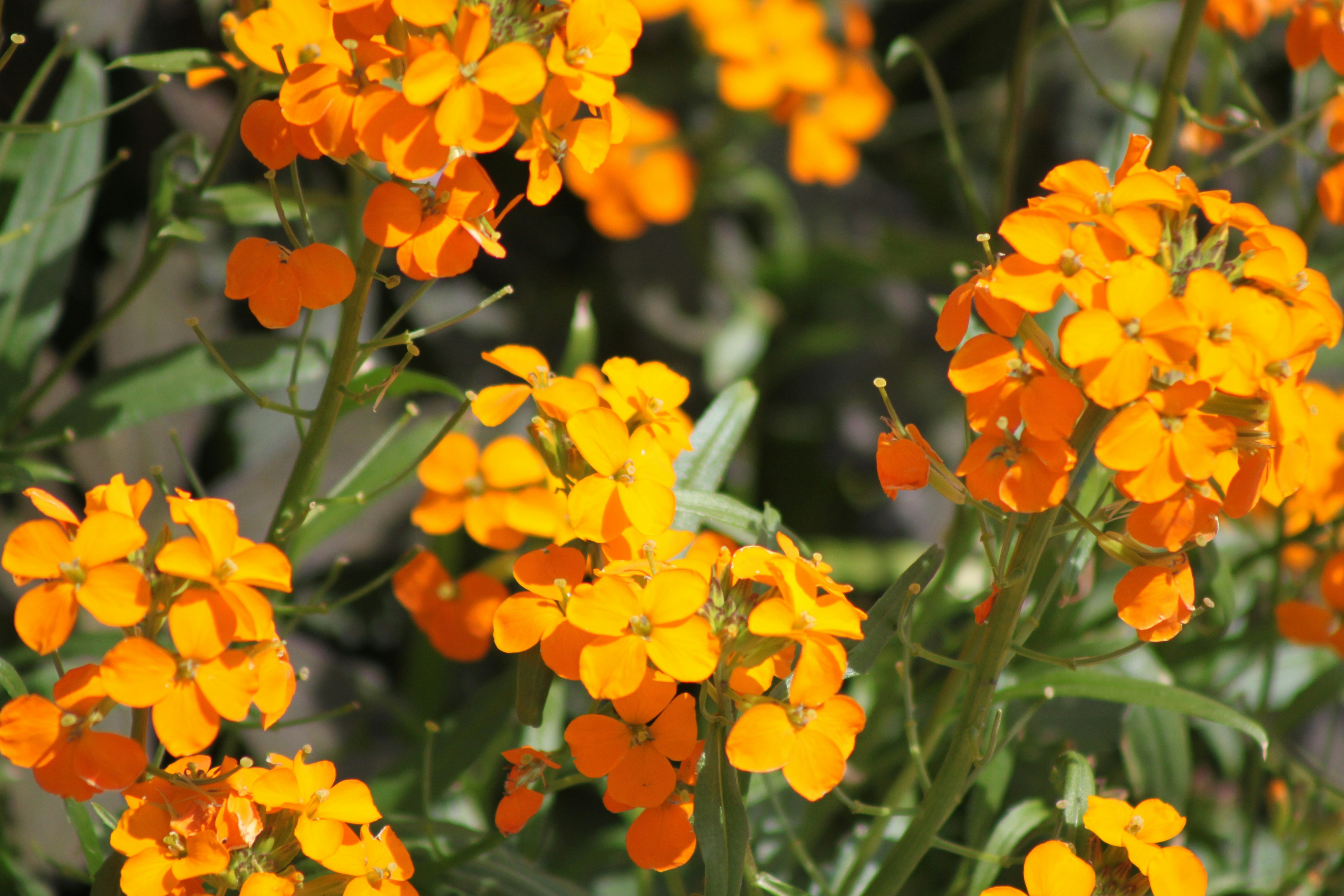 Photo by rubyphotography