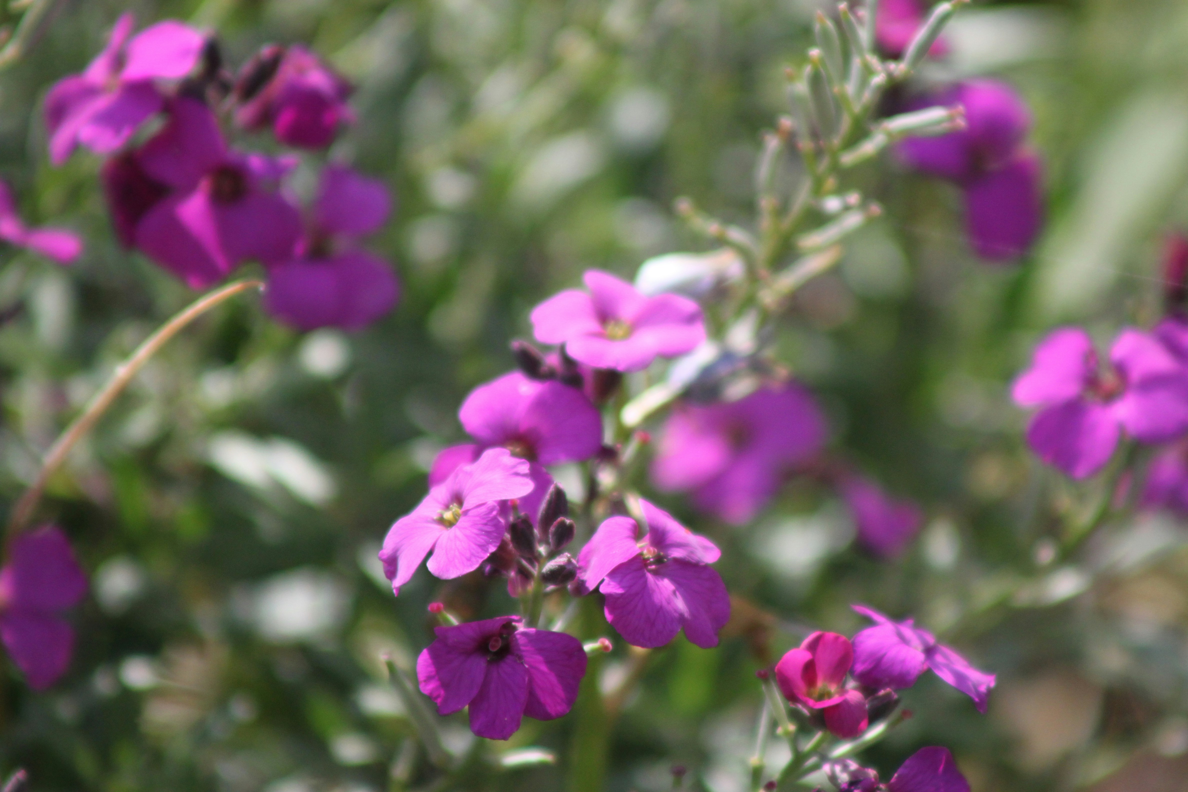 Photo by rubyphotography